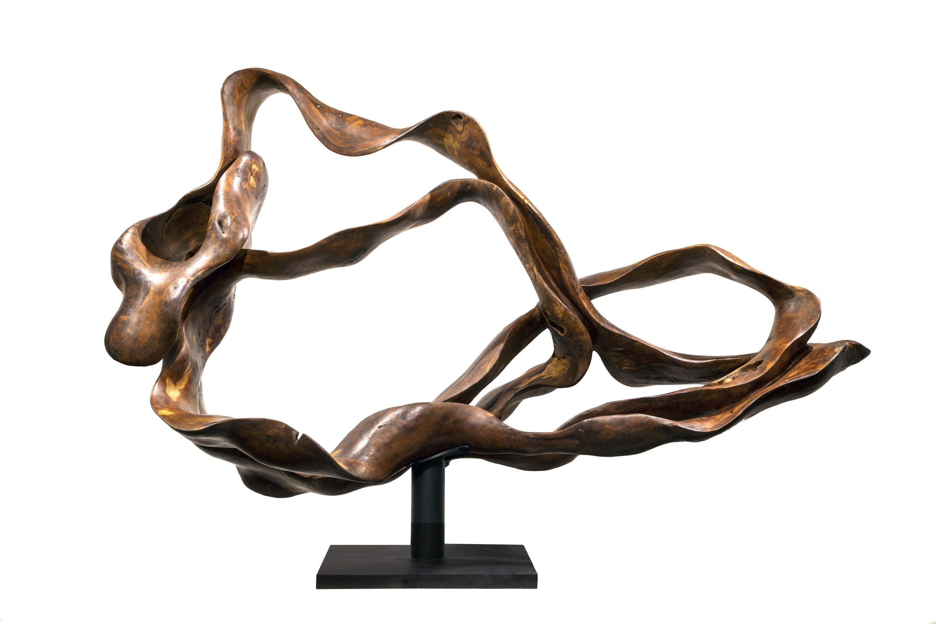 Aura - 21st Century, Contemporary, Abstract Sculpture, Mahogany Root, Wood