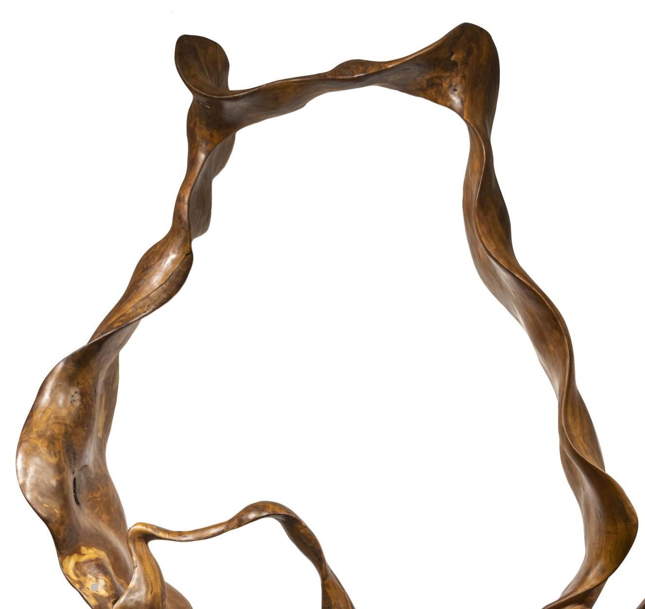 Aurora - 21e siècle, Contemporary, Sculpture abstraite, Mahogany Roots, Wood - Marron Abstract Sculpture par Joaquim Ingravidesa