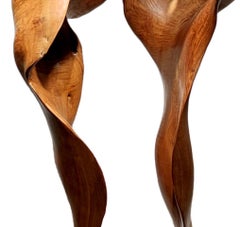 Brisa - Siglo XXI, Contemporáneo, Escultura Abstracta, Raíz de Caoba, Madera