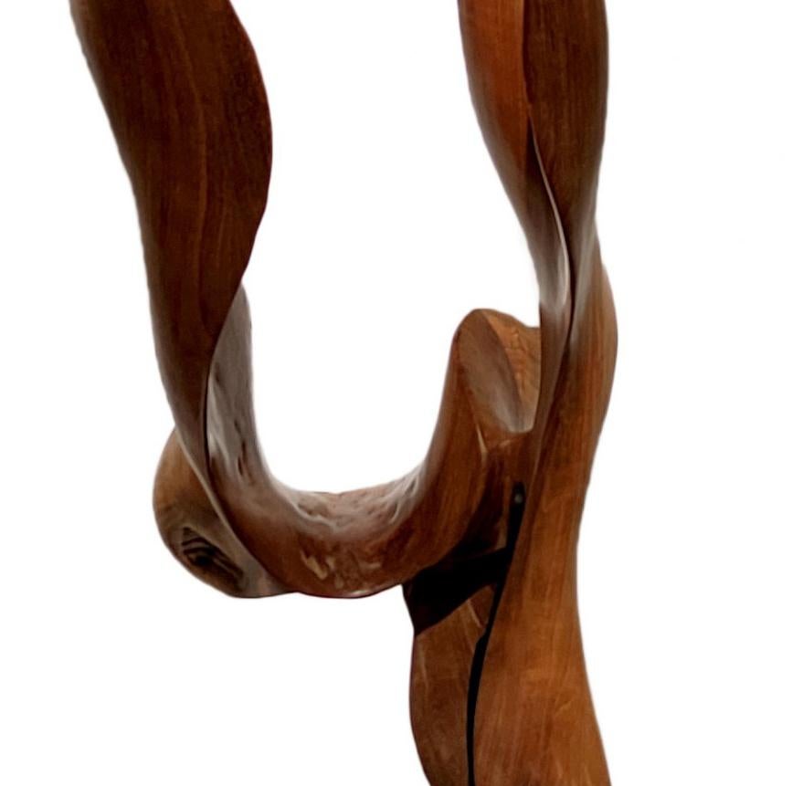 Brisa - 21st Century, Contemporary, Abstract Sculpture, Mahogany Root, Wood For Sale 3