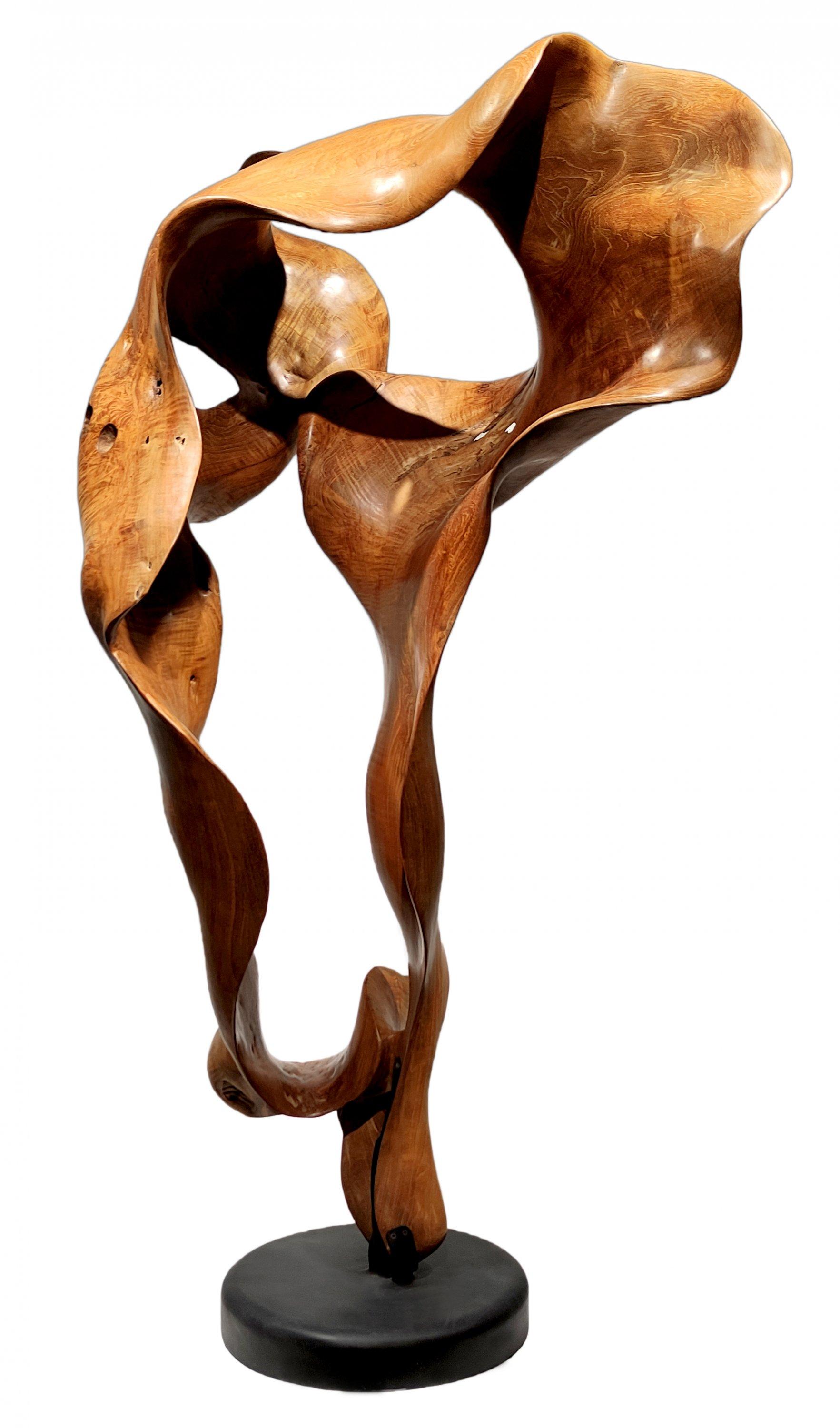Abstract Sculpture Joaquim Ingravidesa - Brisa - 21e siècle, contemporain, sculpture abstraite, racine d'acajou, bois