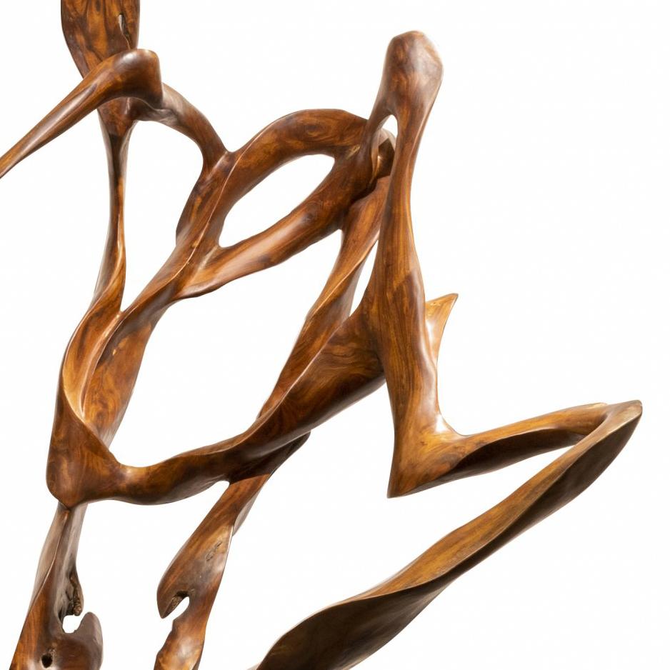 Cirrus - 21ème siècle, Contemporary, Sculpture abstraite, Mahogany Roots, Wood - Marron Abstract Sculpture par Joaquim Ingravidesa
