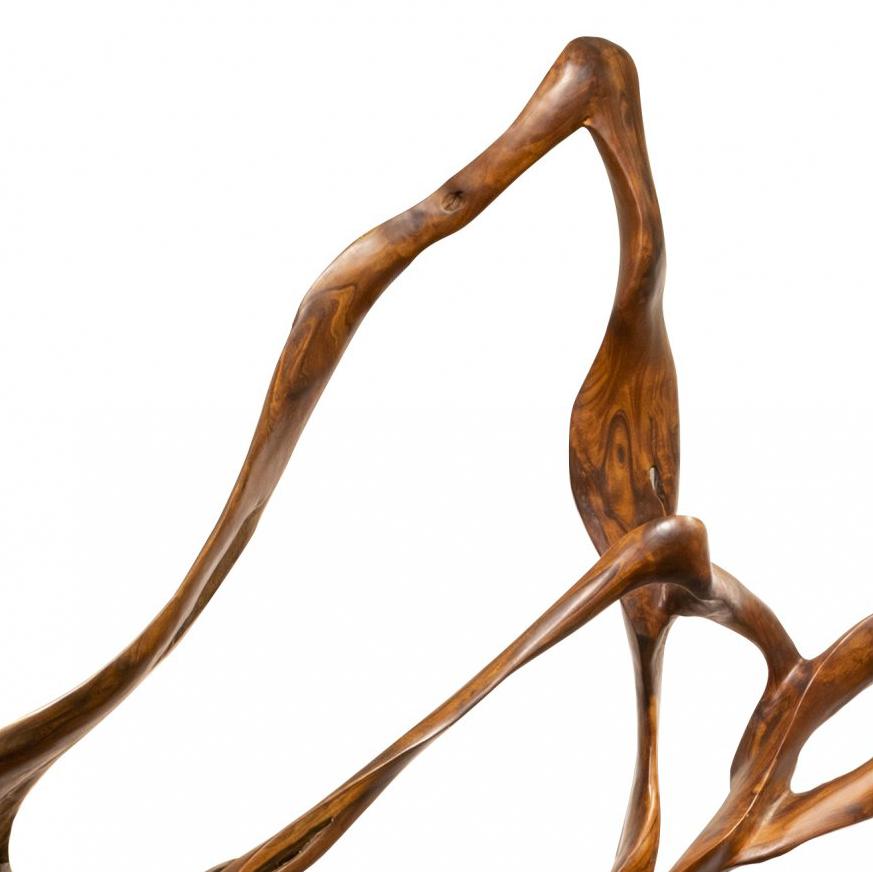 Cirrus - 21ème siècle, Contemporary, Sculpture abstraite, Mahogany Roots, Wood en vente 2