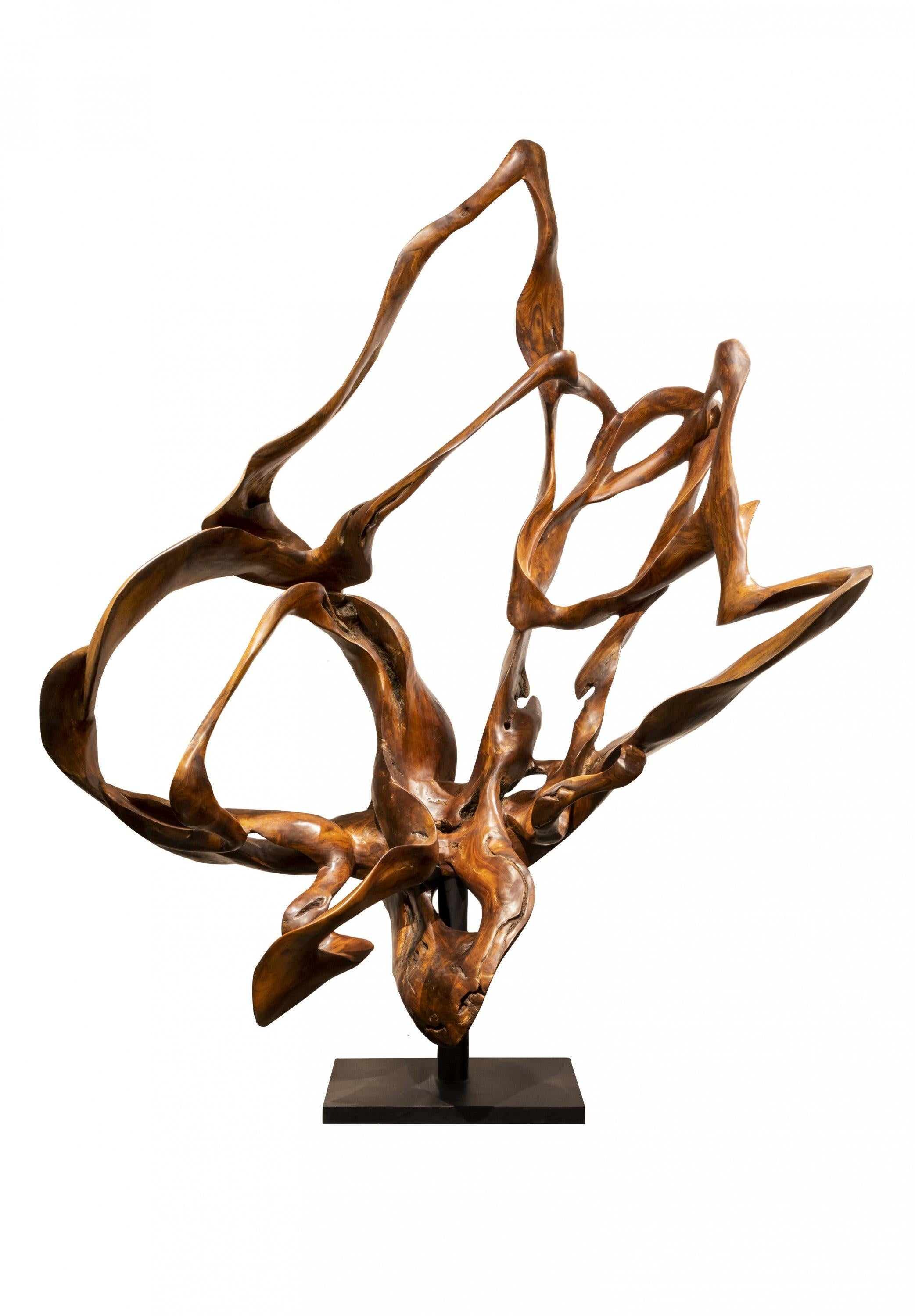 Joaquim Ingravidesa Abstract Sculpture – Cirrus - 21. Jahrhundert, Zeitgenössisch, Abstrakte Skulptur, Mahagoni Roots, Holz