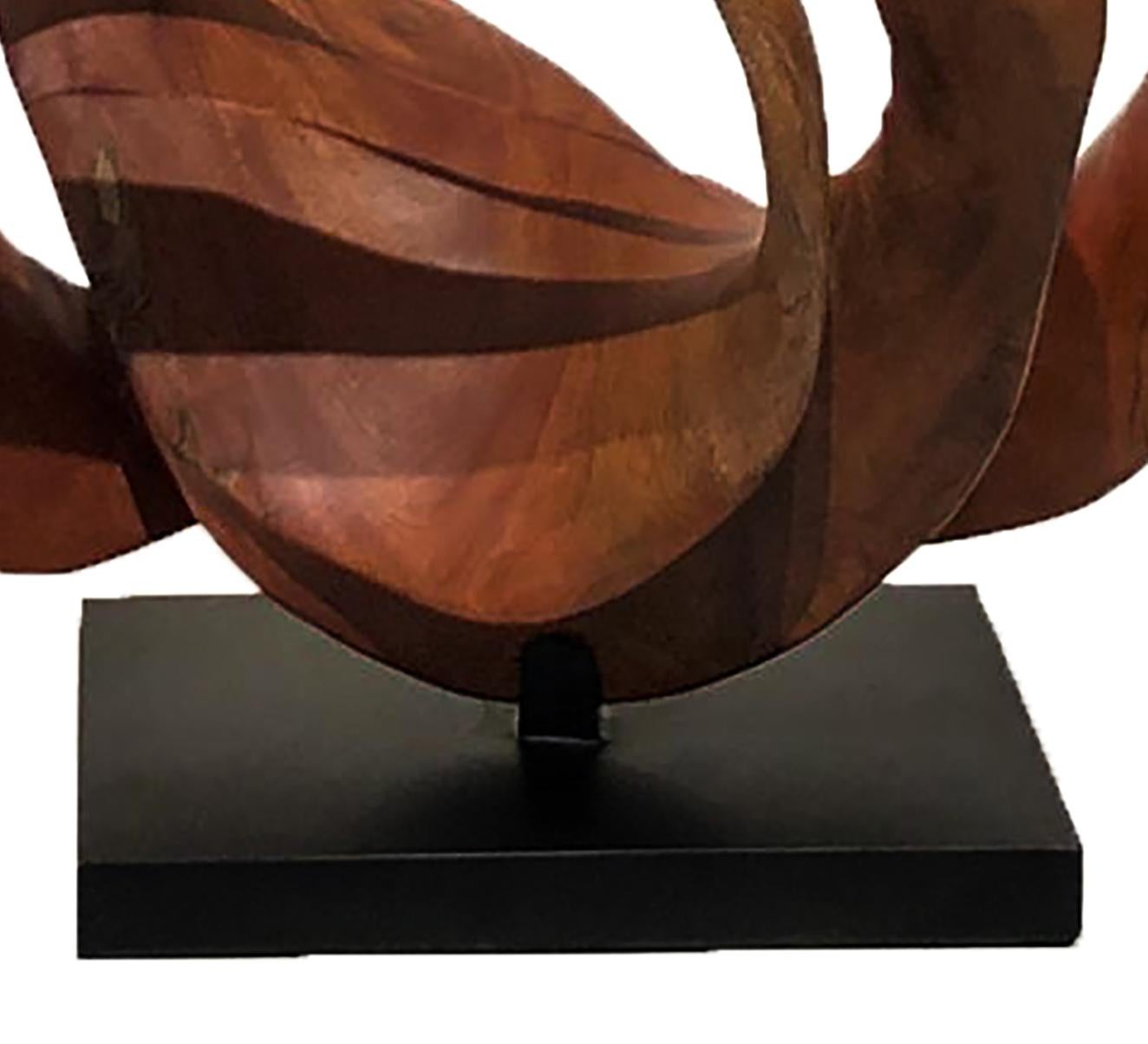 Mahogany roots

The Ingravidesa Sculpture Alliance is formed by an international group of sculptors and designers who collaborate to create abstract sculpture inspired by nature. They often work together for months on monumental projects. The pieces