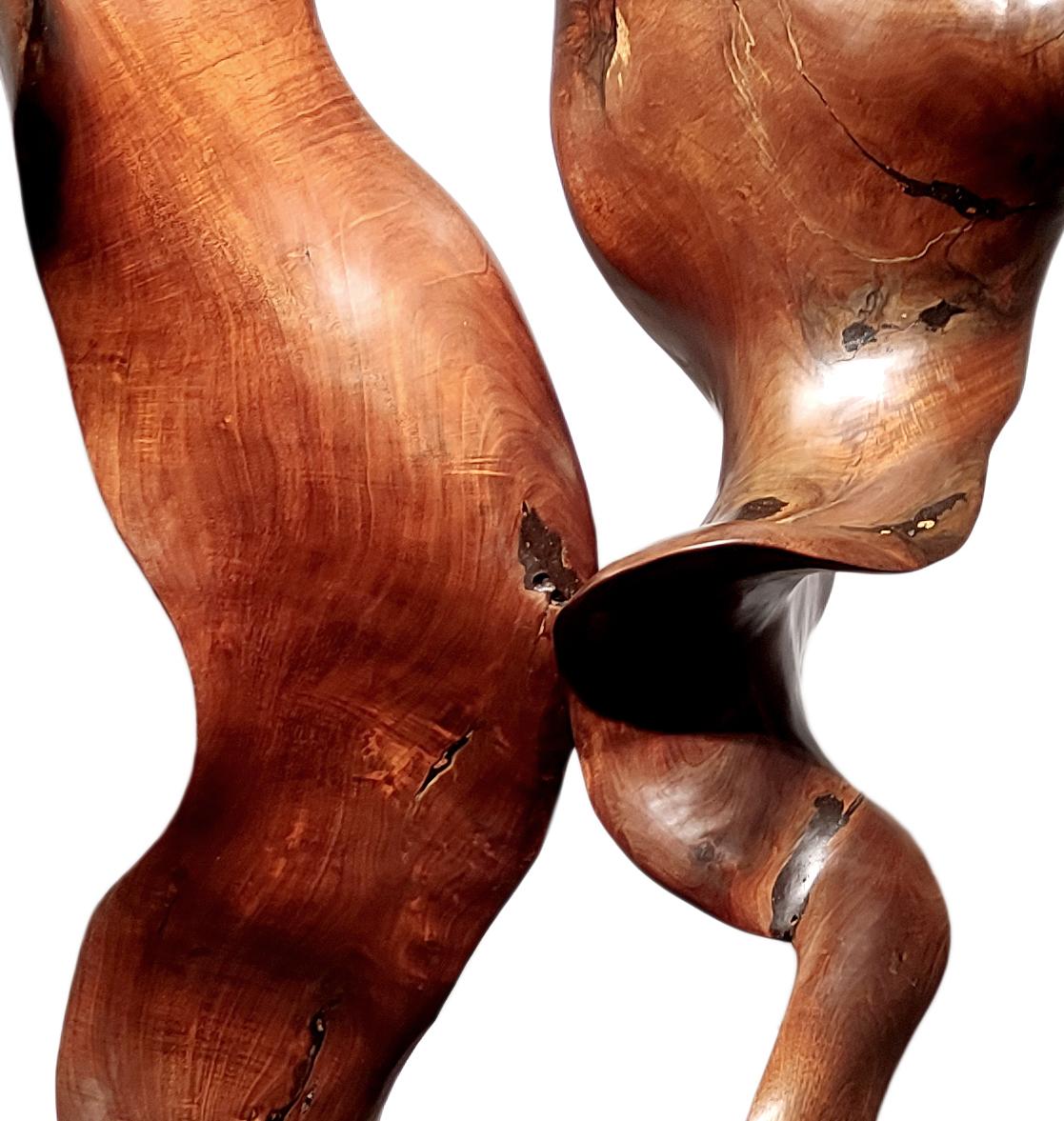 Joy - 21st Century, Contemporary, Abstract Sculpture, Mahogany Root, Wood 1