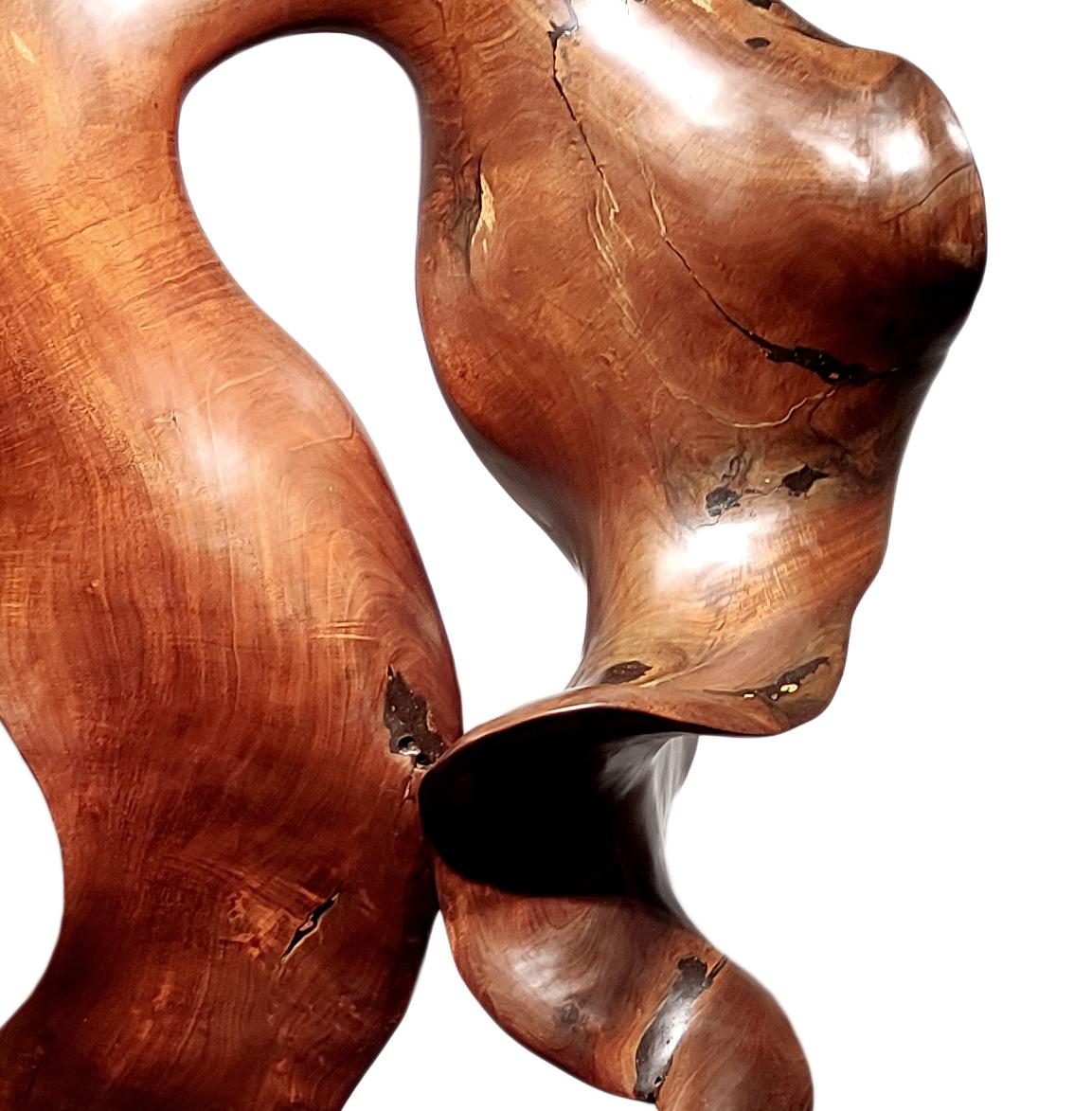 Joy - 21st Century, Contemporary, Abstract Sculpture, Mahogany Root, Wood 3