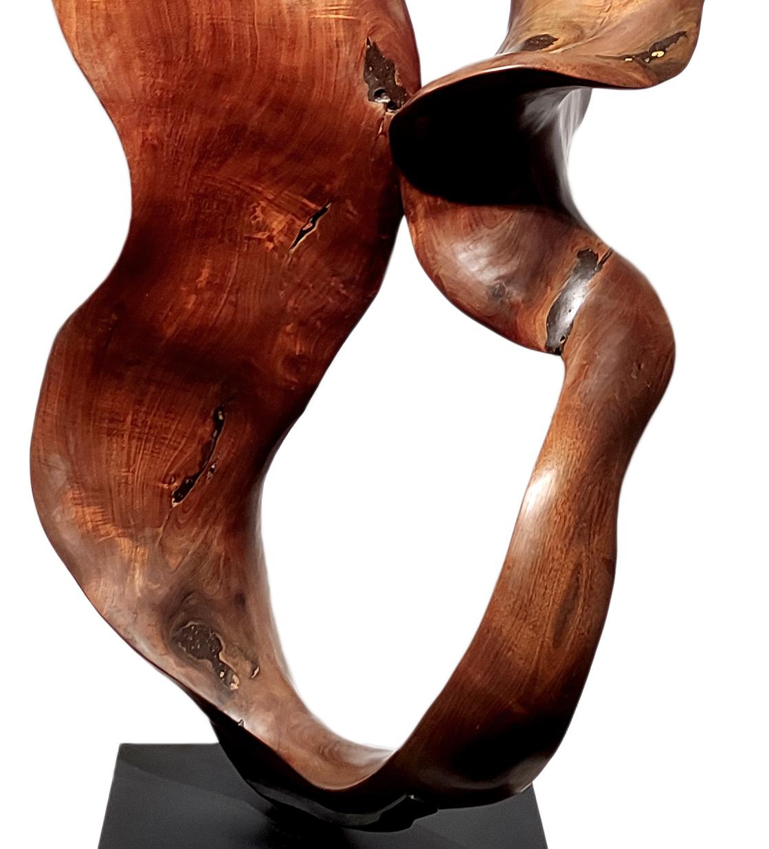 Joy - 21st Century, Contemporary, Abstract Sculpture, Mahogany Root, Wood 4