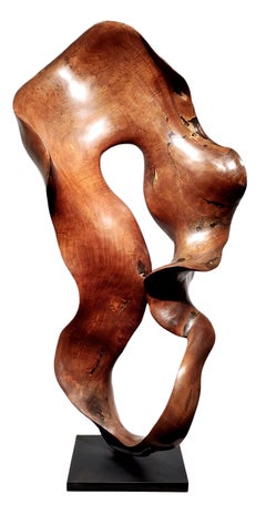 Joy - 21st Century, Contemporary, Abstract Sculpture, Mahogany Root, Wood