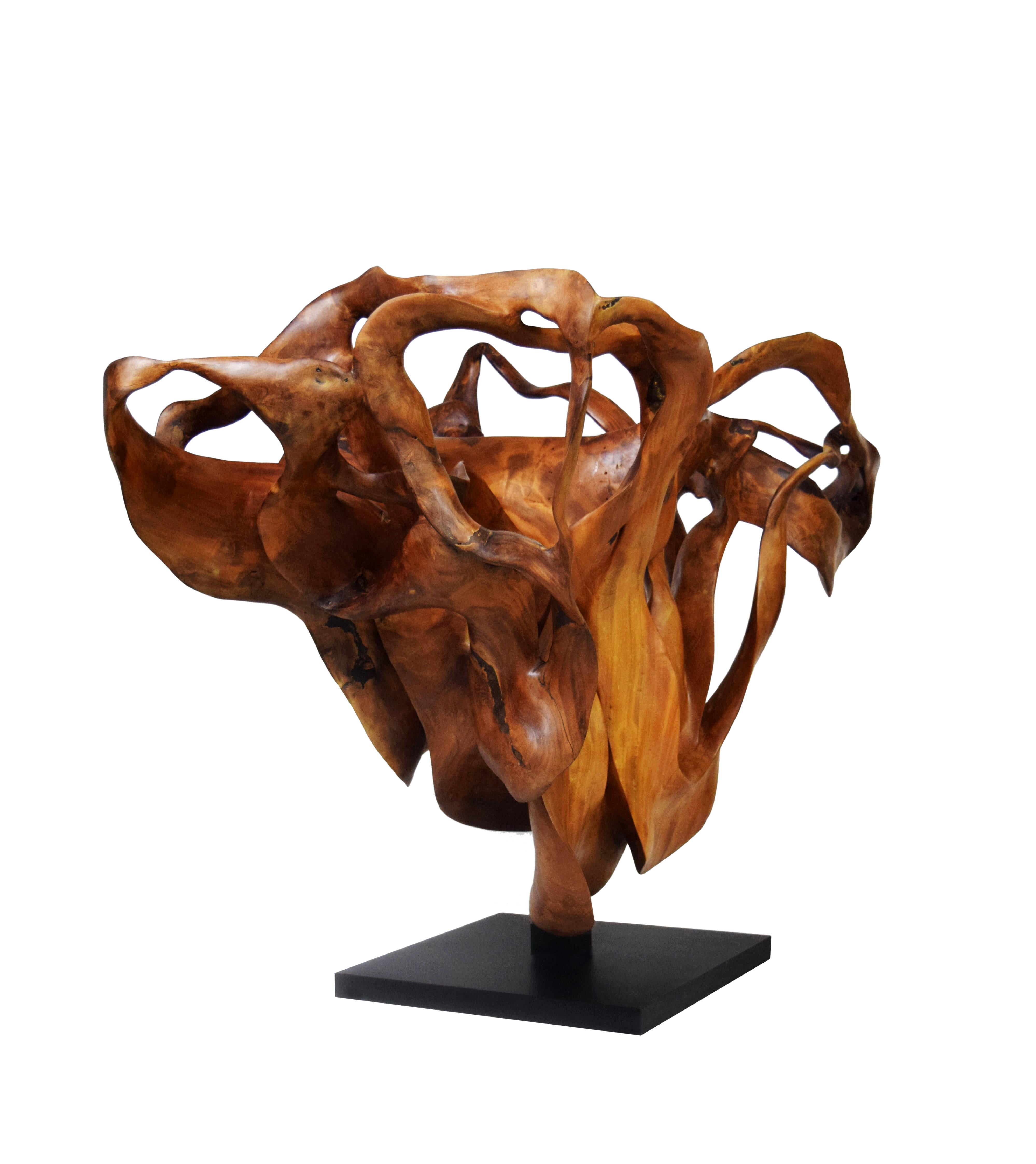 Llum – 21. Jahrhundert, Zeitgenössische, abstrakte Skulptur, Mahagoniholz, Wurzeln – Sculpture von Joaquim Ingravidesa