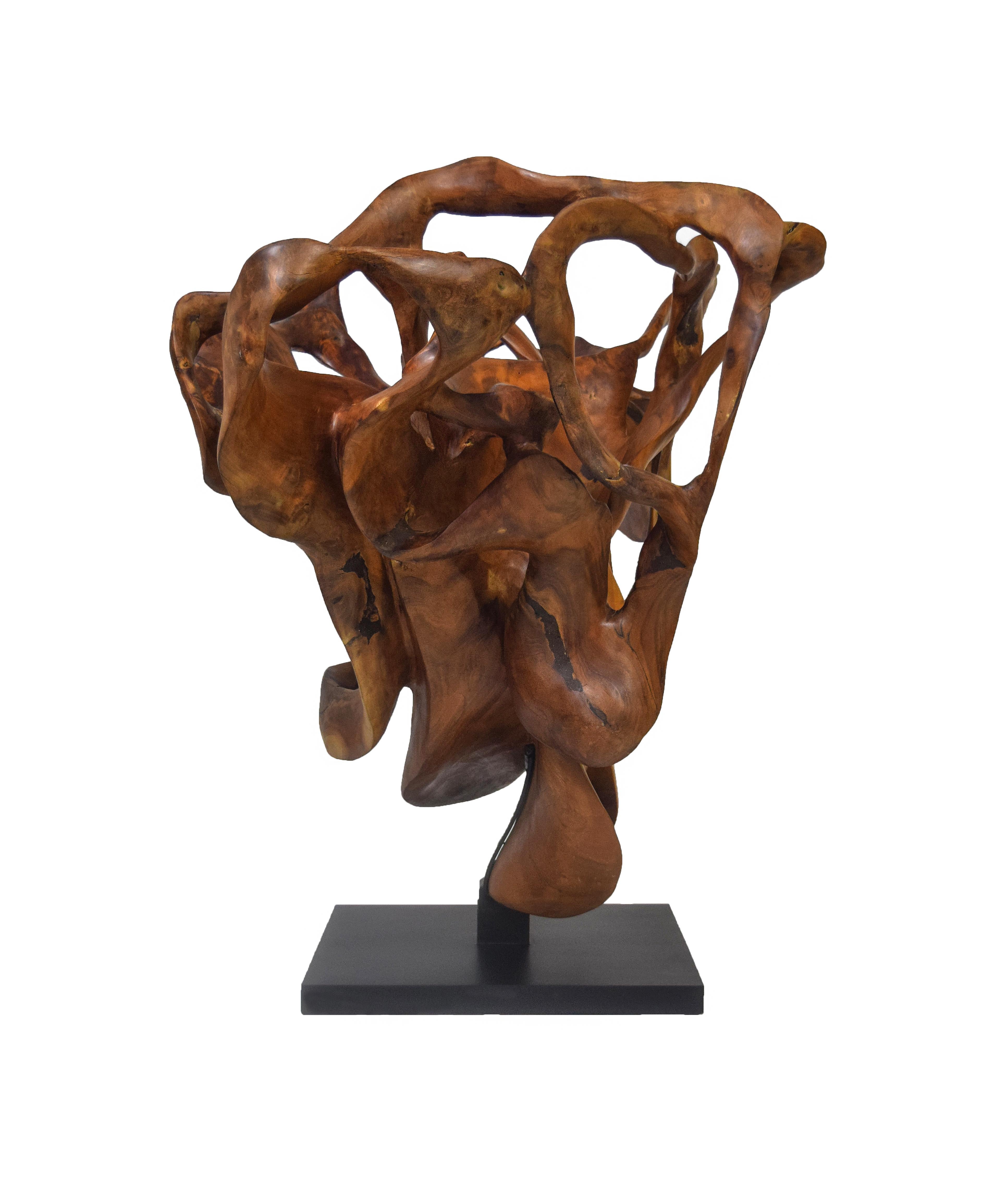 Llum – 21. Jahrhundert, Zeitgenössische, abstrakte Skulptur, Mahagoniholz, Wurzeln (Braun), Abstract Sculpture, von Joaquim Ingravidesa