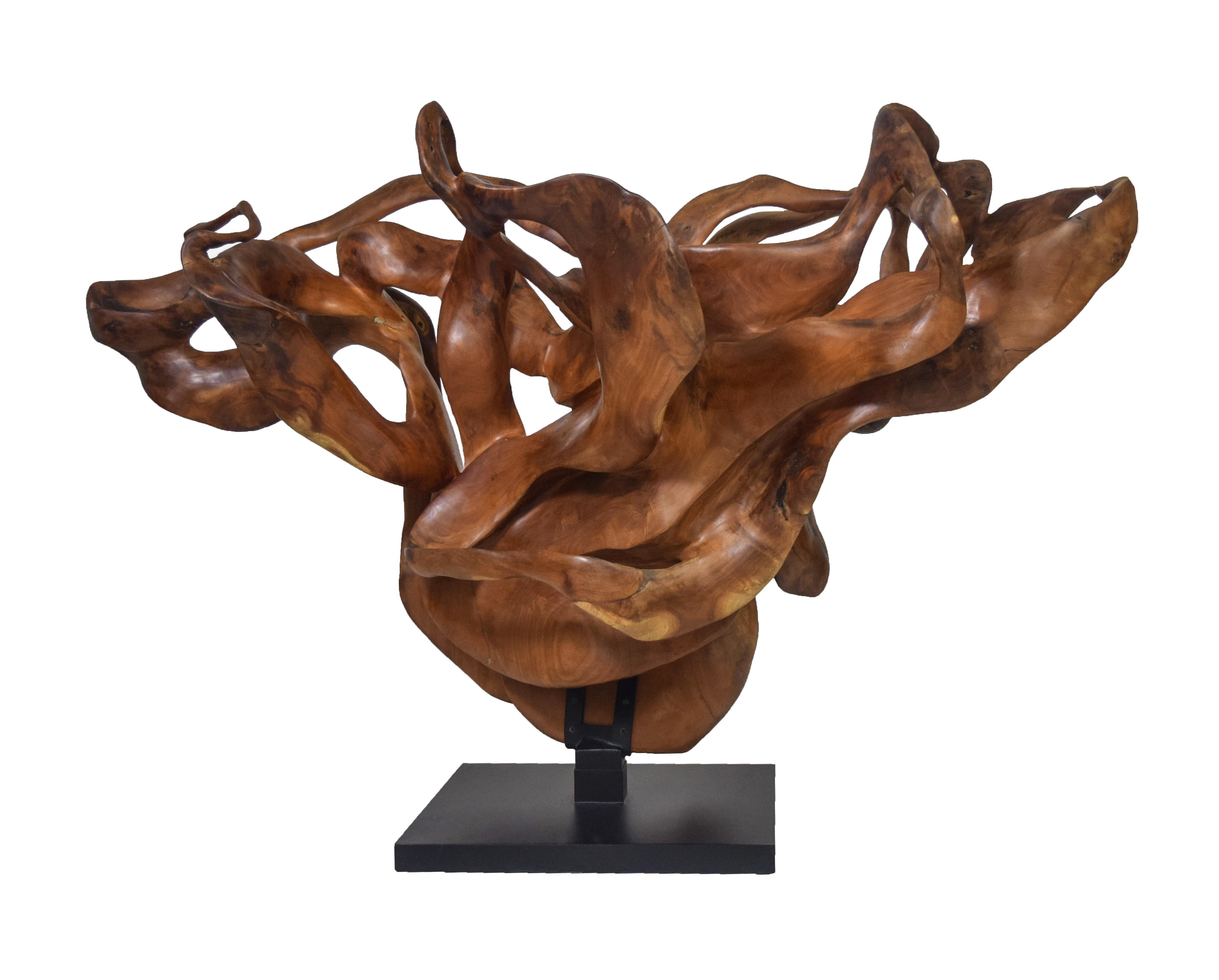 Llum - 21e siècle, Contemporain, Sculpture abstraite, Bois d'acajou, Racines en vente 1
