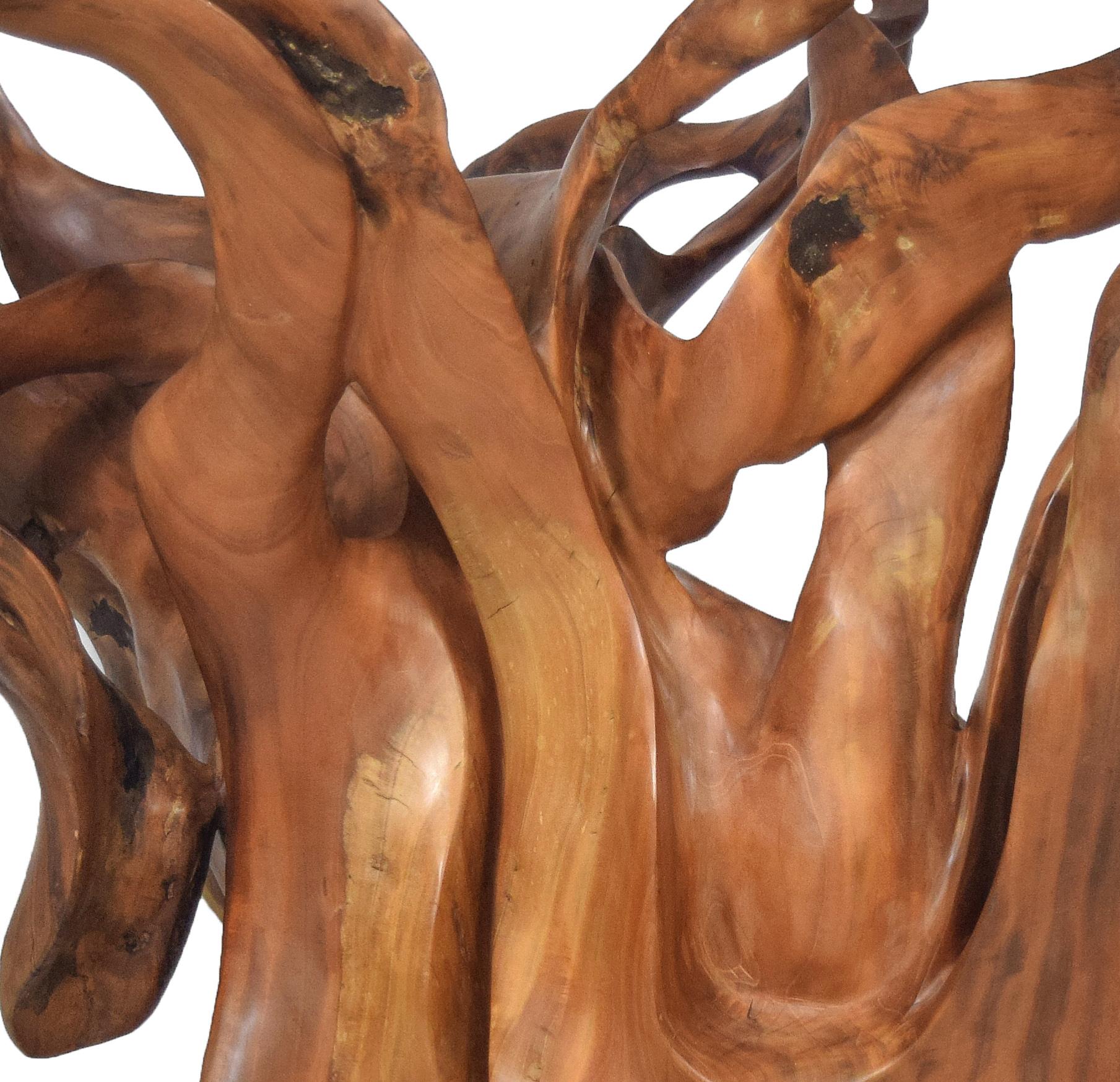 Llum - 21st Century, Contemporary, Abstract Sculpture, Mahogany Wood, Roots For Sale 1