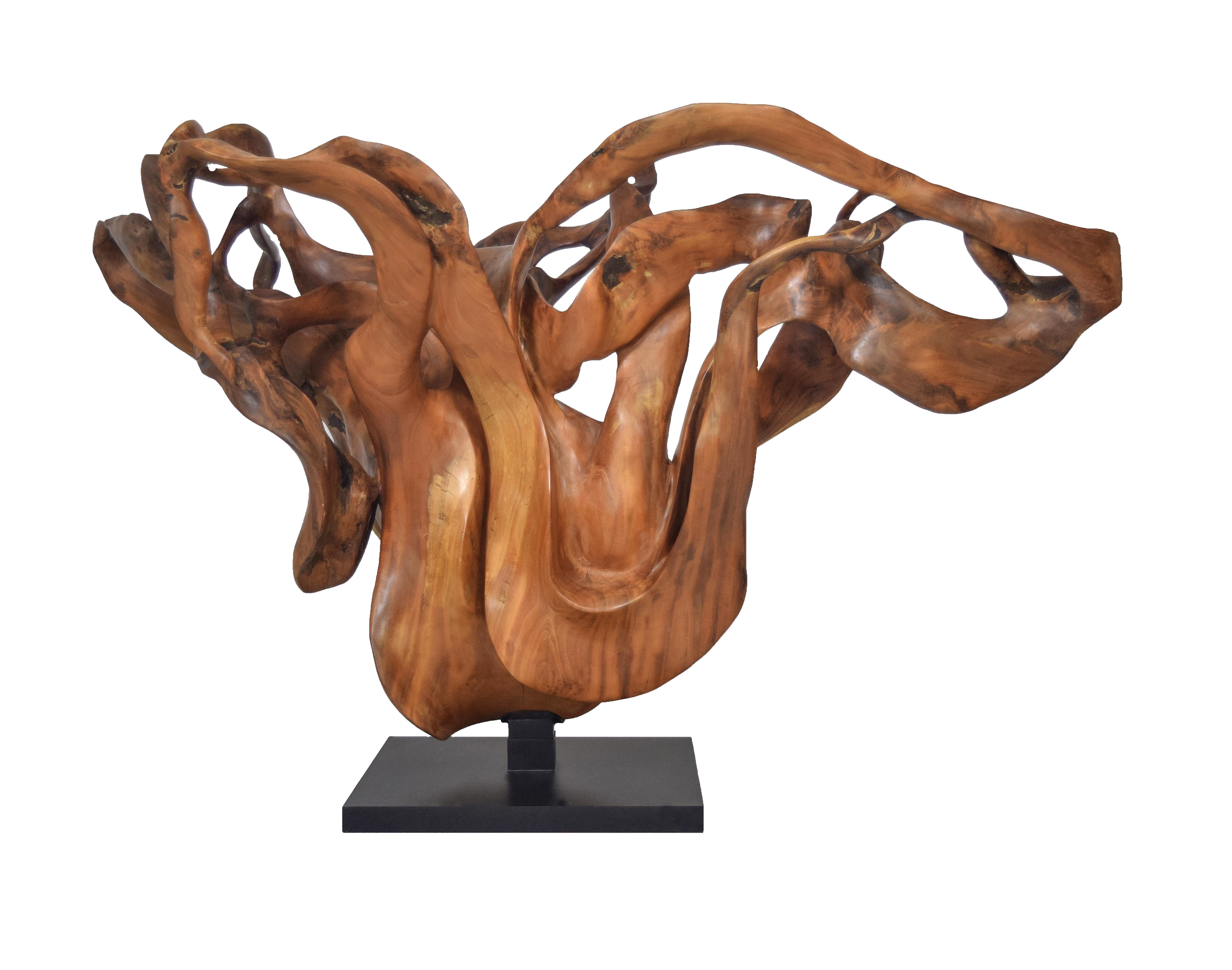 Joaquim Ingravidesa Abstract Sculpture – Llum – 21. Jahrhundert, Zeitgenössische, abstrakte Skulptur, Mahagoniholz, Wurzeln