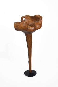 Loto - 21st Century, Contemporary, Abstract Sculpture, Teak Wood, Roots
