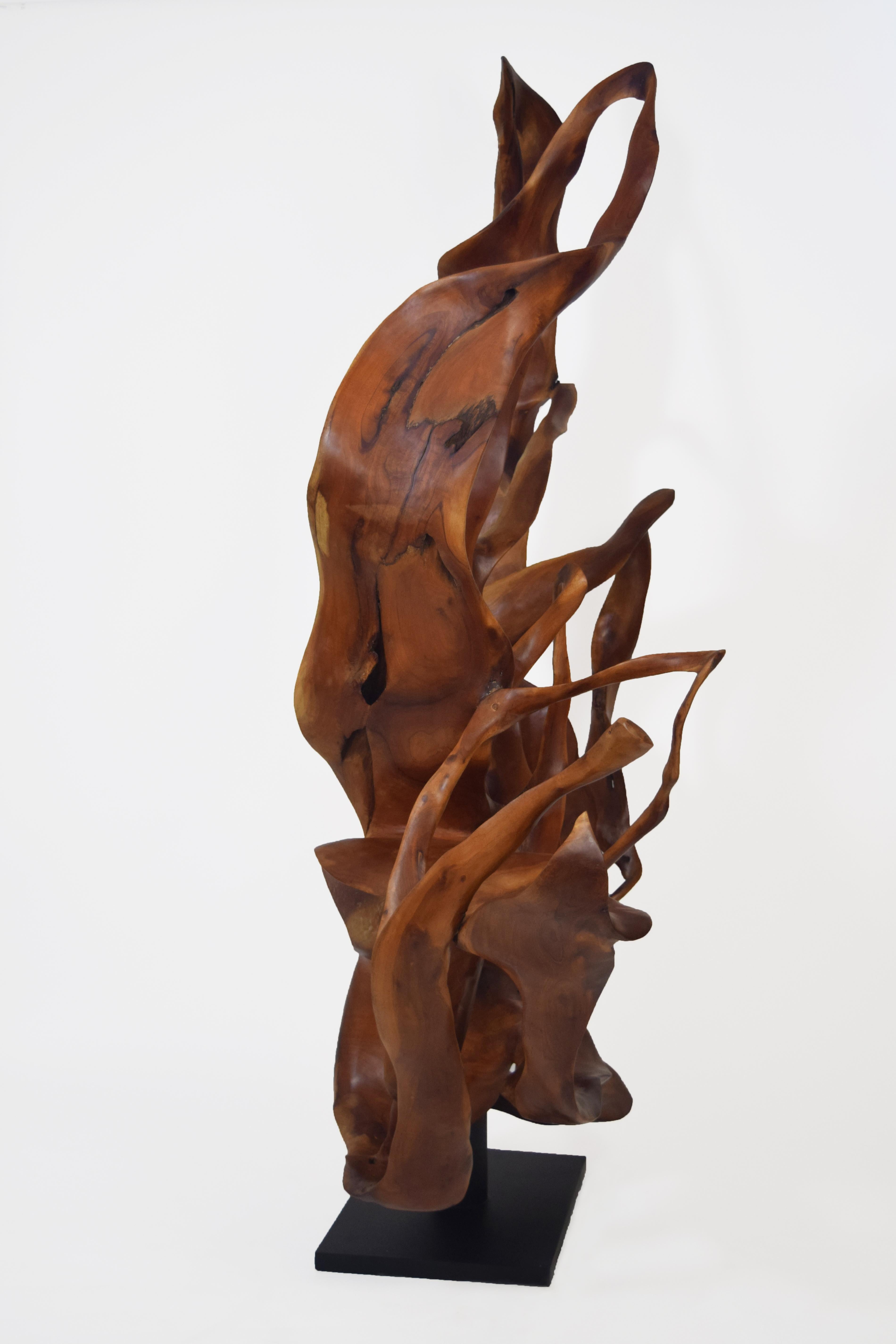 Monsoon - 21e siècle, Contemporain, Sculpture abstraite, Bois d'acajou, Roots - Marron Abstract Sculpture par Joaquim Ingravidesa