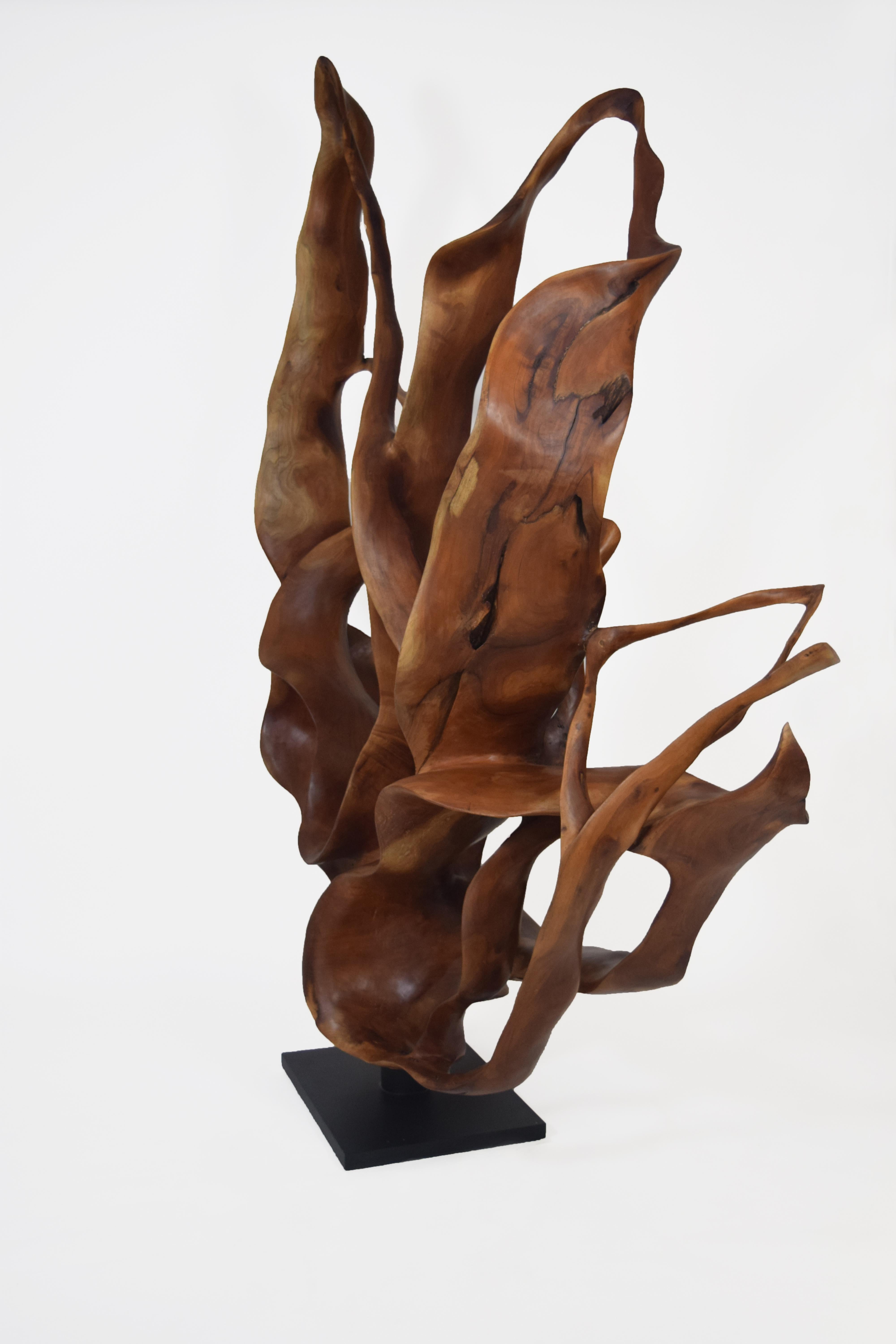 Monsoon - 21. Jahrhundert, Zeitgenössisch, Abstrakte Skulptur, Mahagoniholz, Roots (Braun), Abstract Sculpture, von Joaquim Ingravidesa