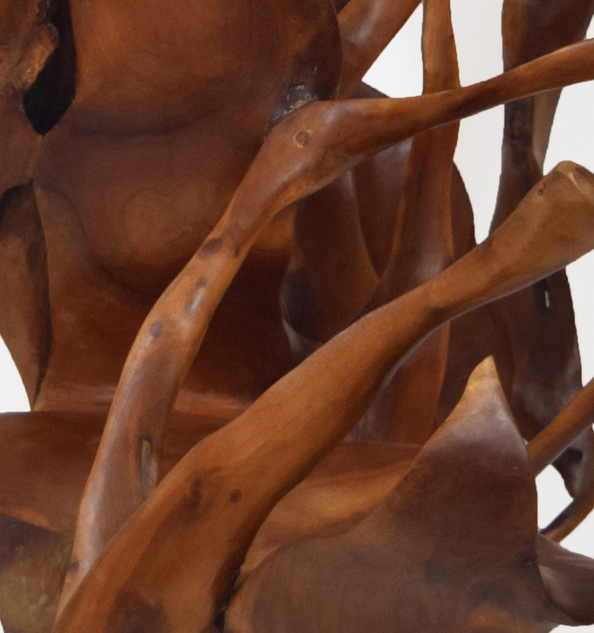 Mahagoni-Wurzeln

Die Joaquim Ingravidesa Sculpture Alliance besteht aus einer internationalen Gruppe von Bildhauern und Designern, die zusammenarbeiten, um abstrakte, von der Natur inspirierte Skulpturen zu schaffen. Sie arbeiten oft monatelang