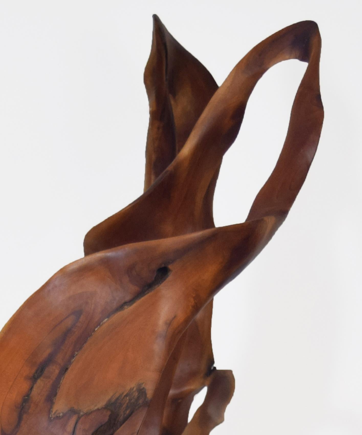 Monsoon - 21st Century, Contemporary, Abstract Sculpture, Mahogany Wood, Roots For Sale 4
