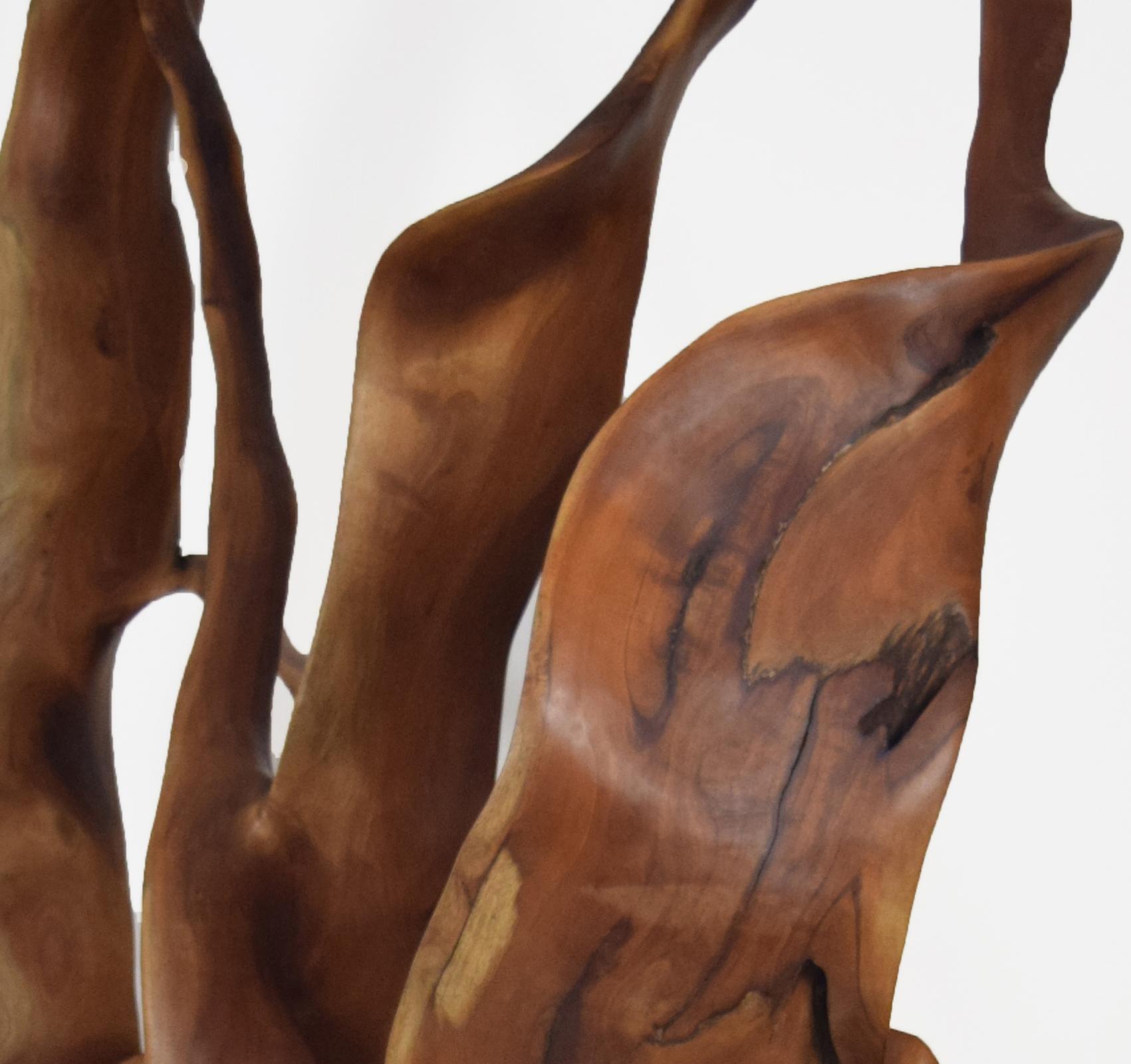 Monsoon - 21st Century, Contemporary, Abstract Sculpture, Mahogany Wood, Roots For Sale 6