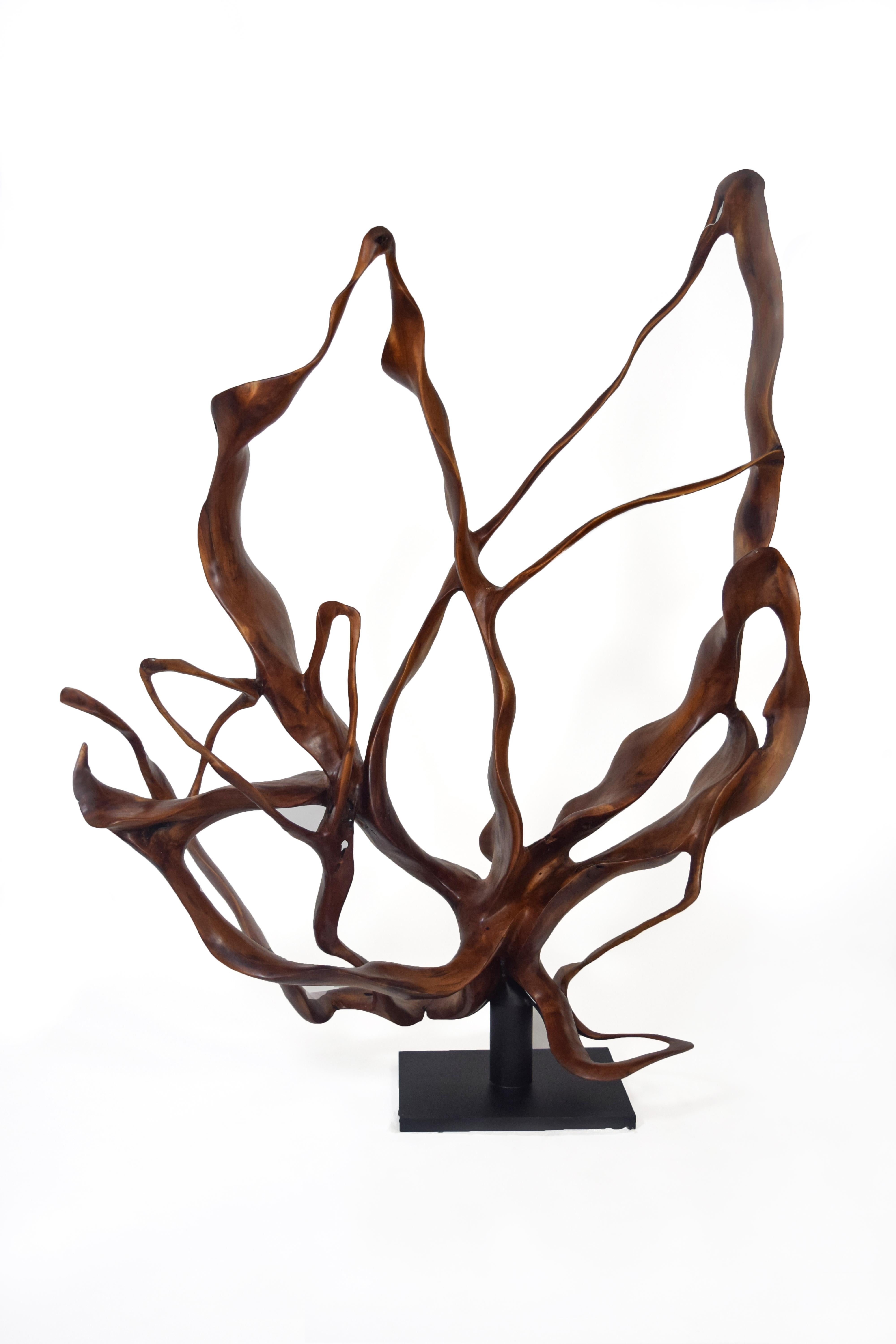 Joaquim Ingravidesa Abstract Sculpture – Monsoon - 21. Jahrhundert, Zeitgenössisch, Abstrakte Skulptur, Mahagoniholz, Roots