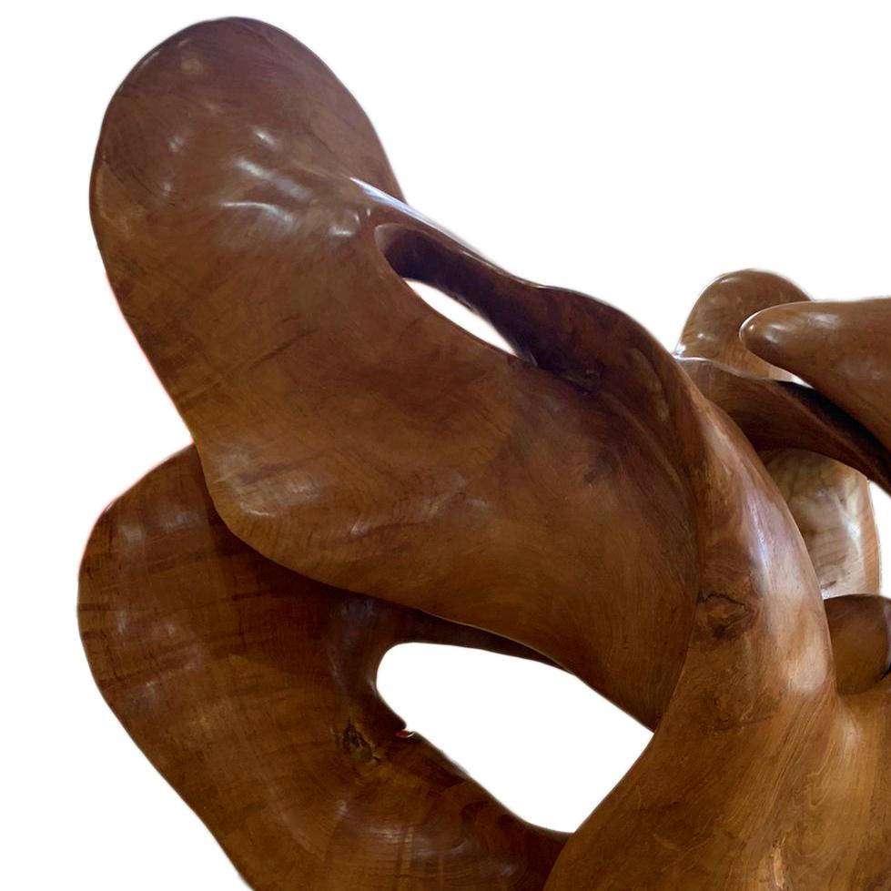 Niebla - 21st Century, Contemporary, Abstract Sculpture, Mahogany Root, Wood 1