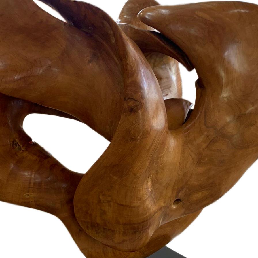 Niebla - 21st Century, Contemporary, Abstract Sculpture, Mahogany Root, Wood 2