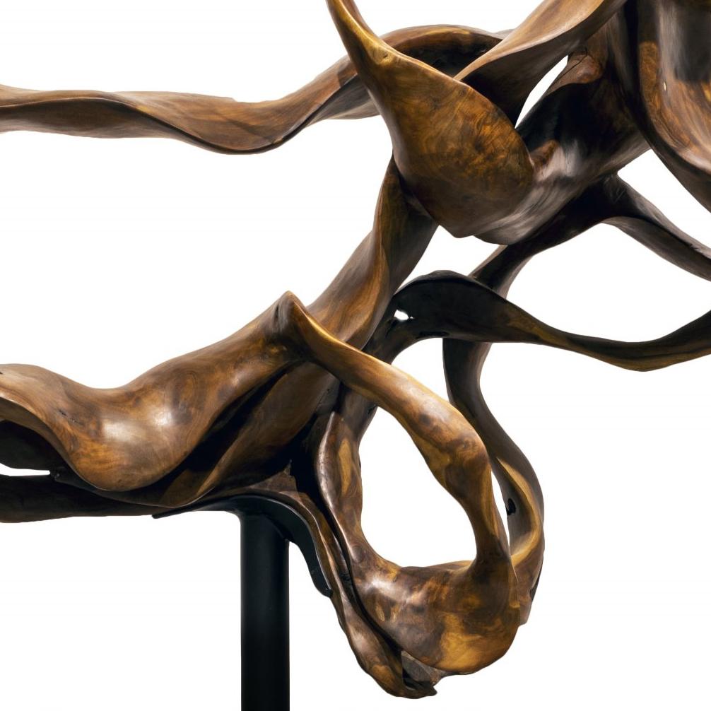 Nimbus - 21st Century, Contemporary, Abstract Sculpture, Mahogany Root, Wood 1