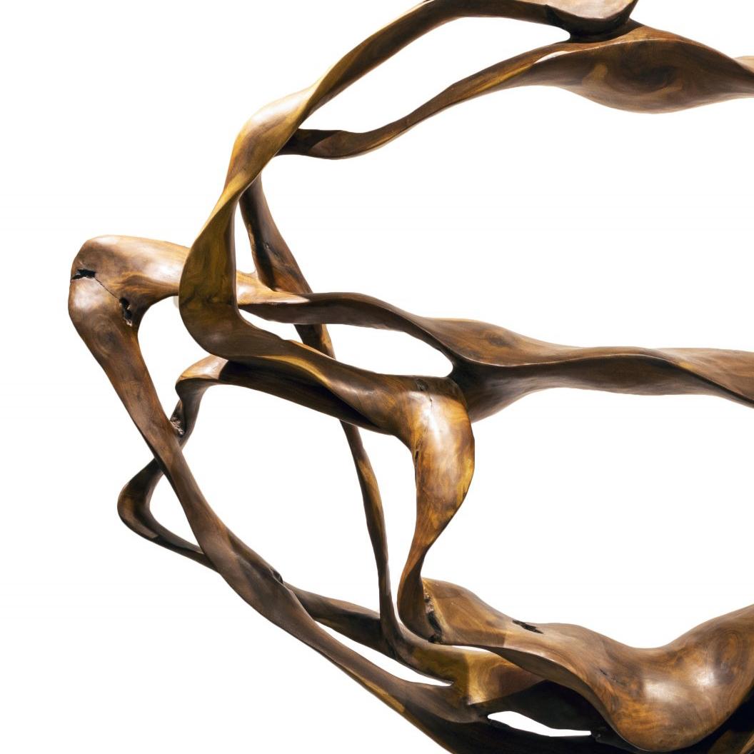 Nimbus - 21st Century, Contemporary, Abstract Sculpture, Mahogany Root, Wood 2