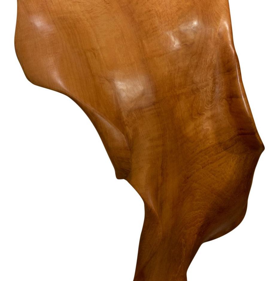 Poise - 21st Century, Contemporary, Abstract Sculpture, Mahogany Root, Wood For Sale 3