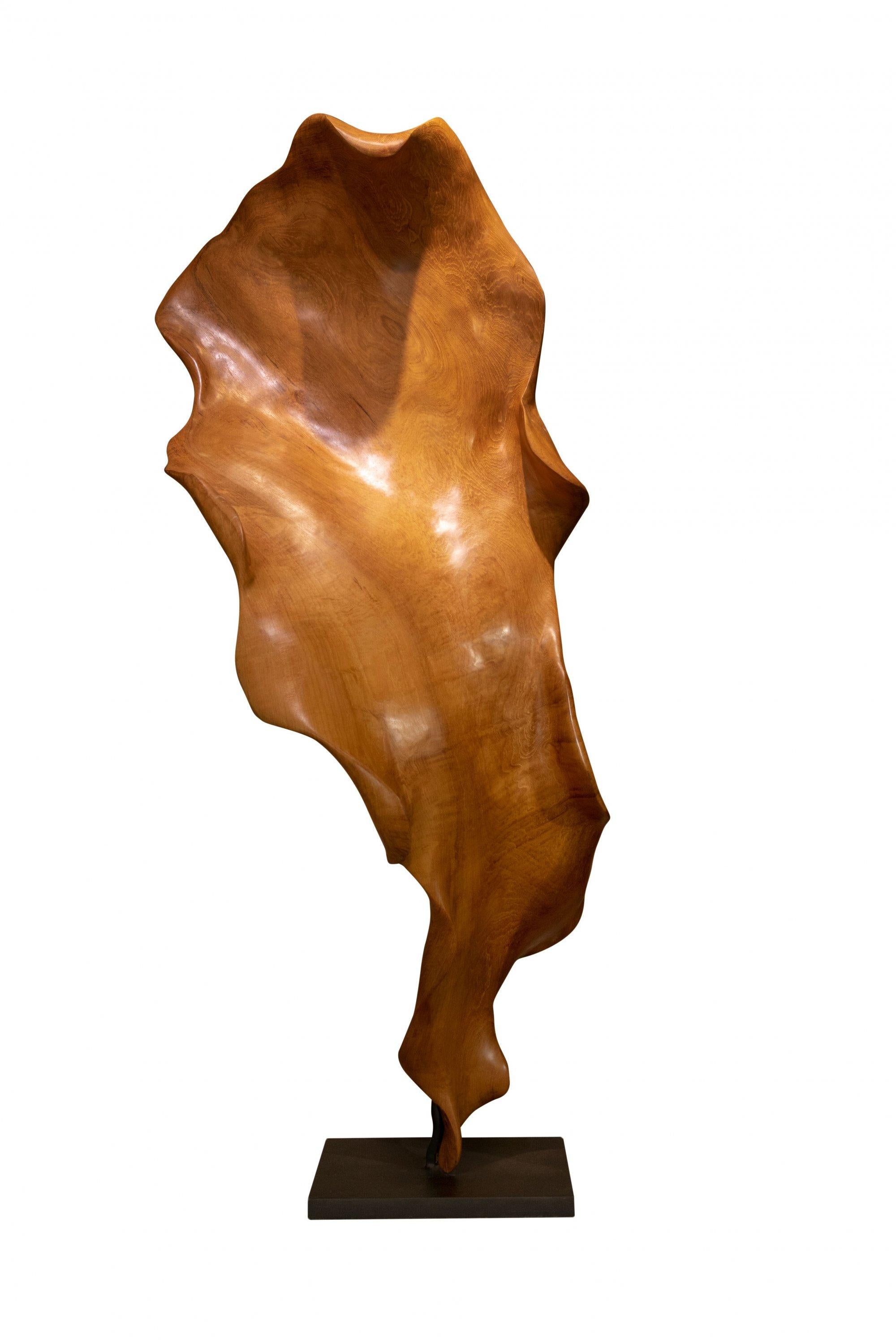Joaquim Ingravidesa Abstract Sculpture – Poise - 21. Jahrhundert, Zeitgenössisch, Abstrakte Skulptur, Mahagoniwurzel, Holz