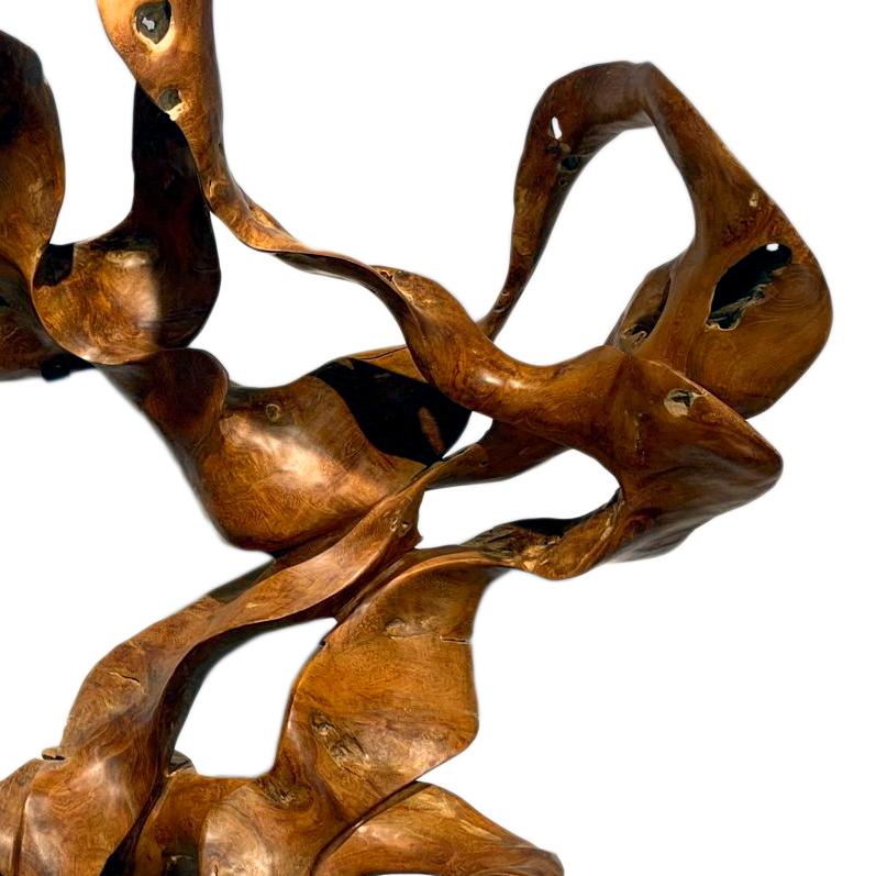 Tempest - 21st Century, Contemporary, Abstract Sculpture, Mahogany Root, Wood 2