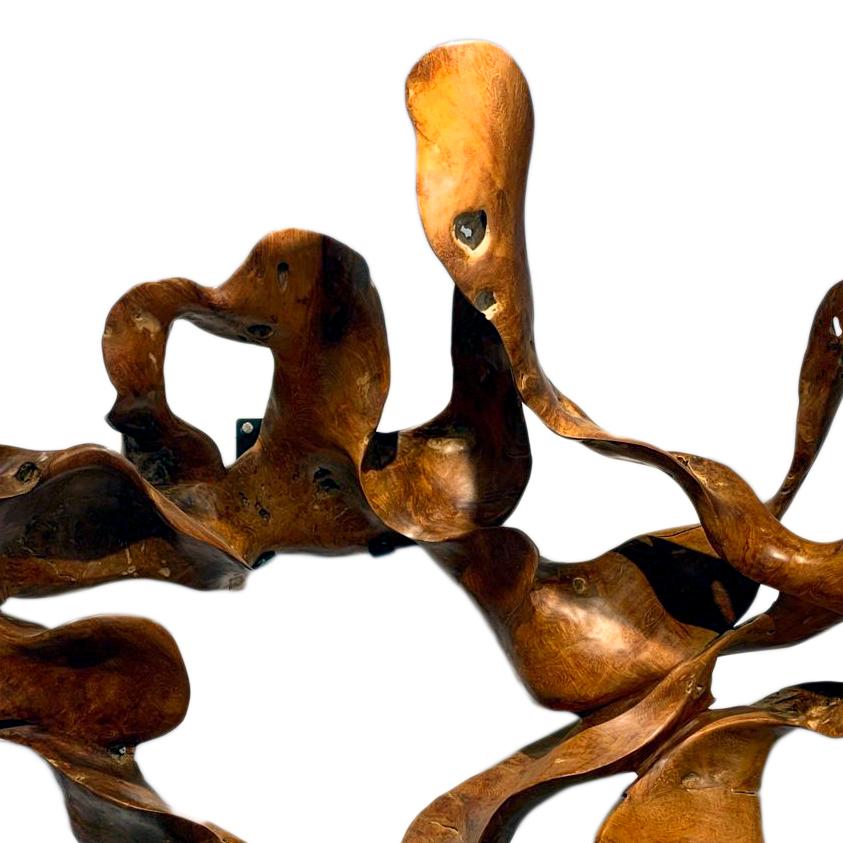 Tempest - 21st Century, Contemporary, Abstract Sculpture, Mahogany Root, Wood 4