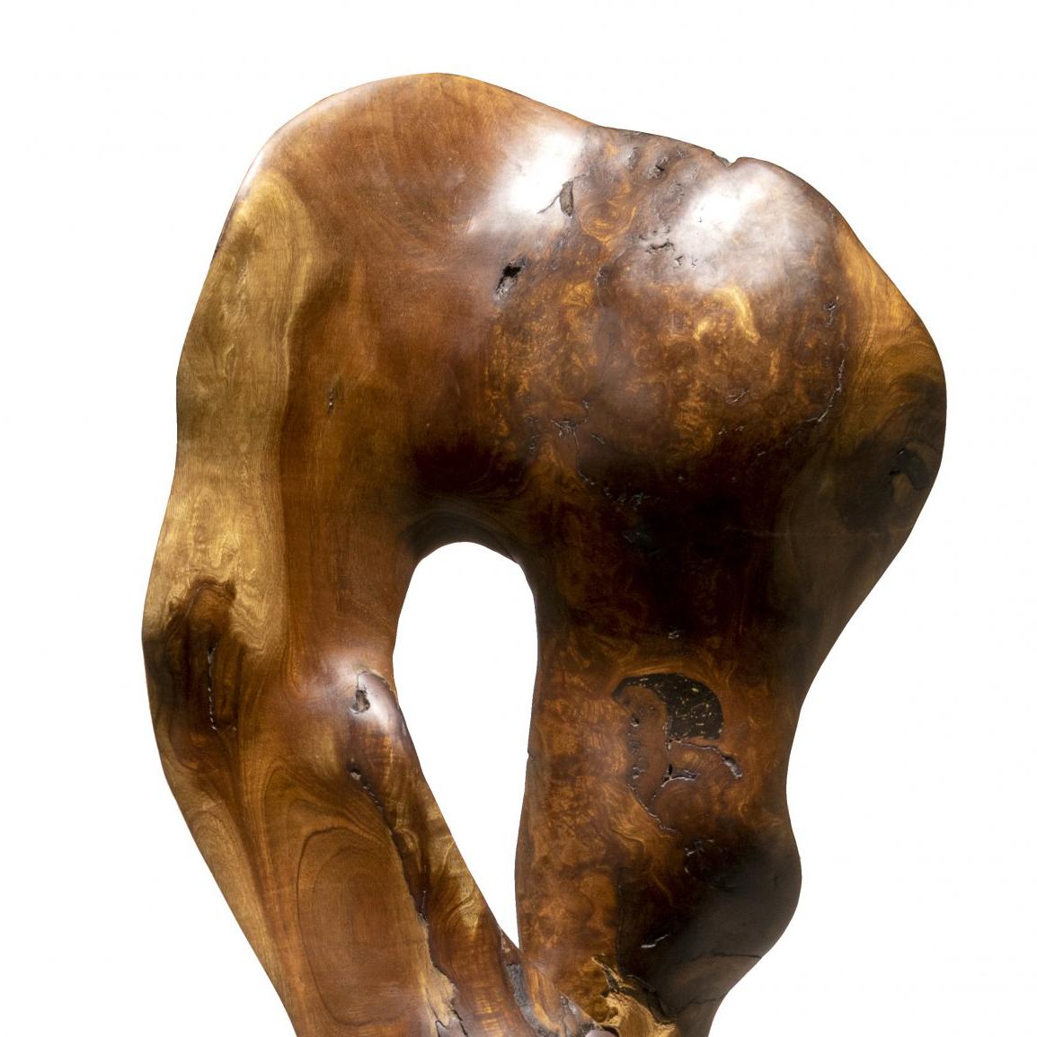 Vida - 21. Jahrhundert, Zeitgenössisch, Abstrakte Skulptur, Mahagoniwurzel, Holz – Sculpture von Joaquim Ingravidesa