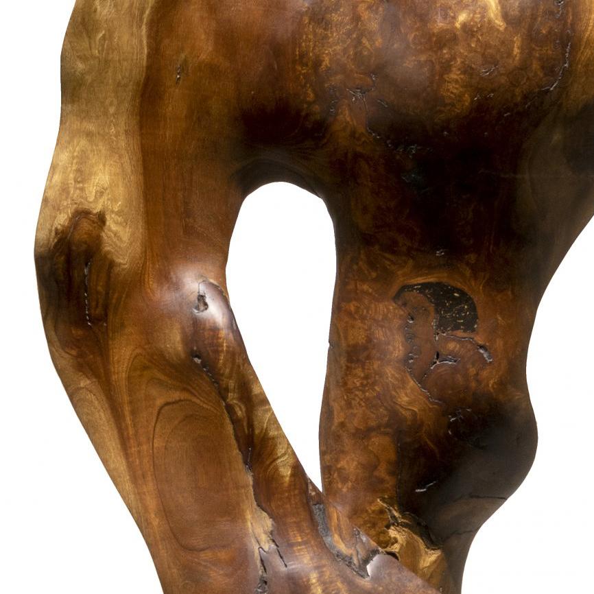 Vida - 21. Jahrhundert, Zeitgenössisch, Abstrakte Skulptur, Mahagoniwurzel, Holz (Braun), Abstract Sculpture, von Joaquim Ingravidesa