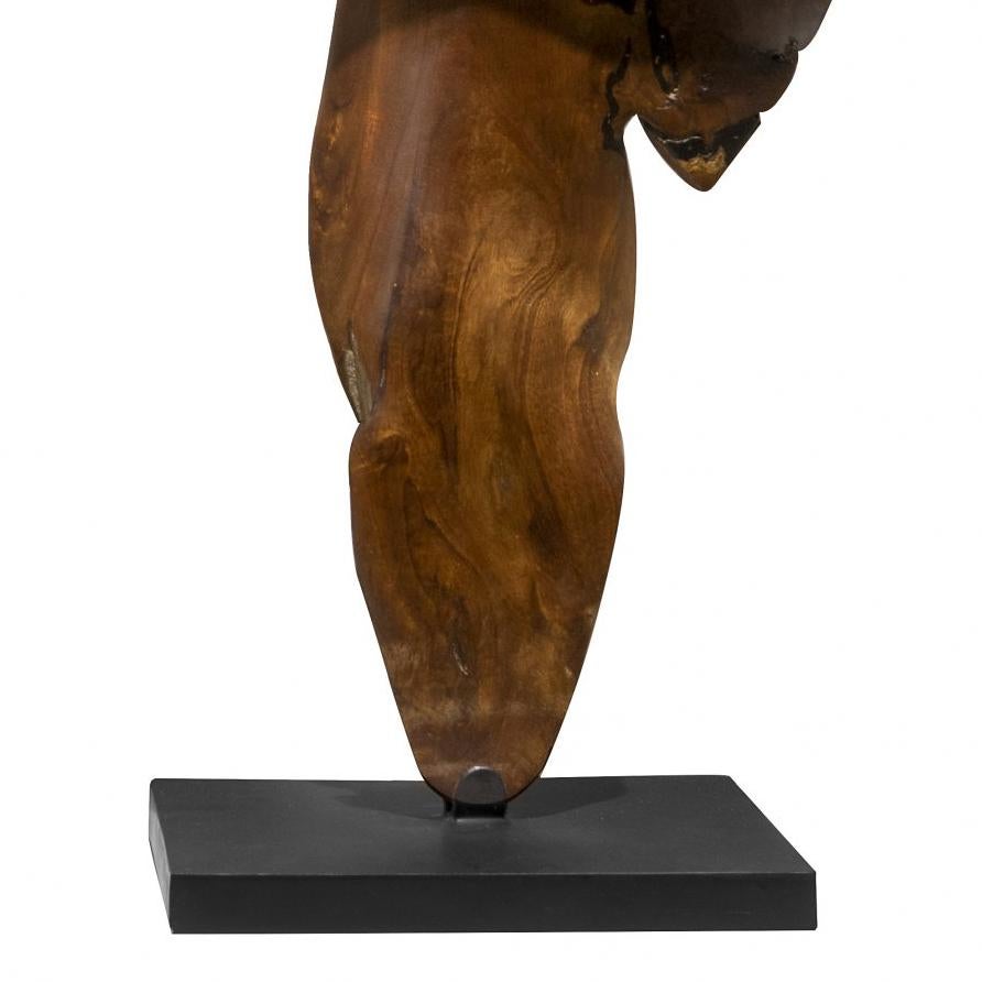 Vida - 21st Century, Contemporary, Abstract Sculpture, Mahogany Root, Wood For Sale 1