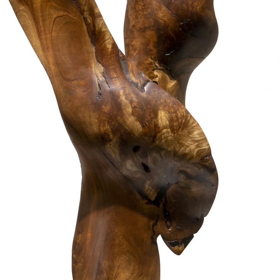 Vida - 21. Jahrhundert, Zeitgenössisch, Abstrakte Skulptur, Mahagoniwurzel, Holz im Angebot 1