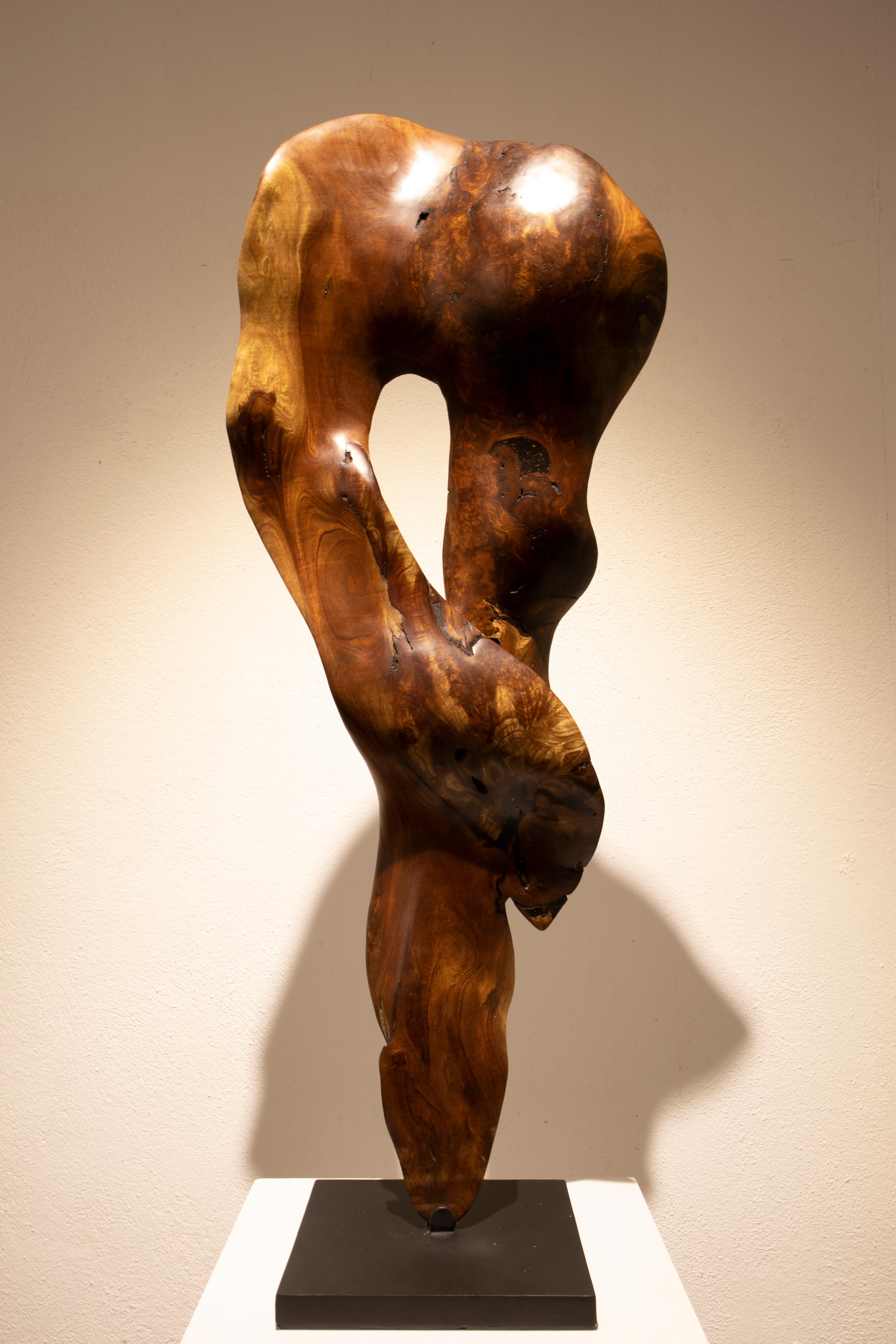 Vida - 21e siècle, contemporain, sculpture abstraite, racine d'acajou, bois - Marron Abstract Sculpture par Joaquim Ingravidesa