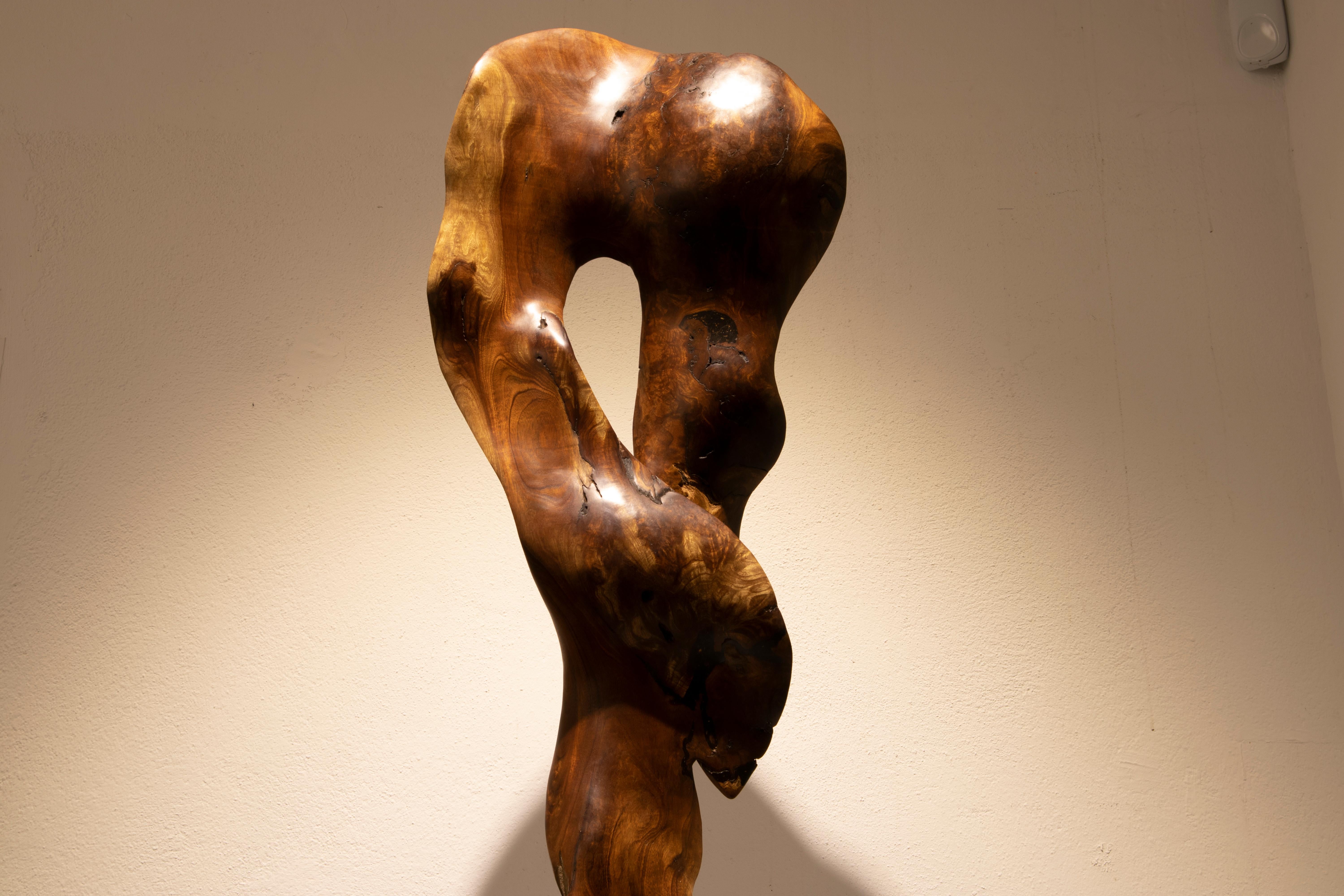 Vida - 21. Jahrhundert, Zeitgenössisch, Abstrakte Skulptur, Mahagoniwurzel, Holz im Angebot 3
