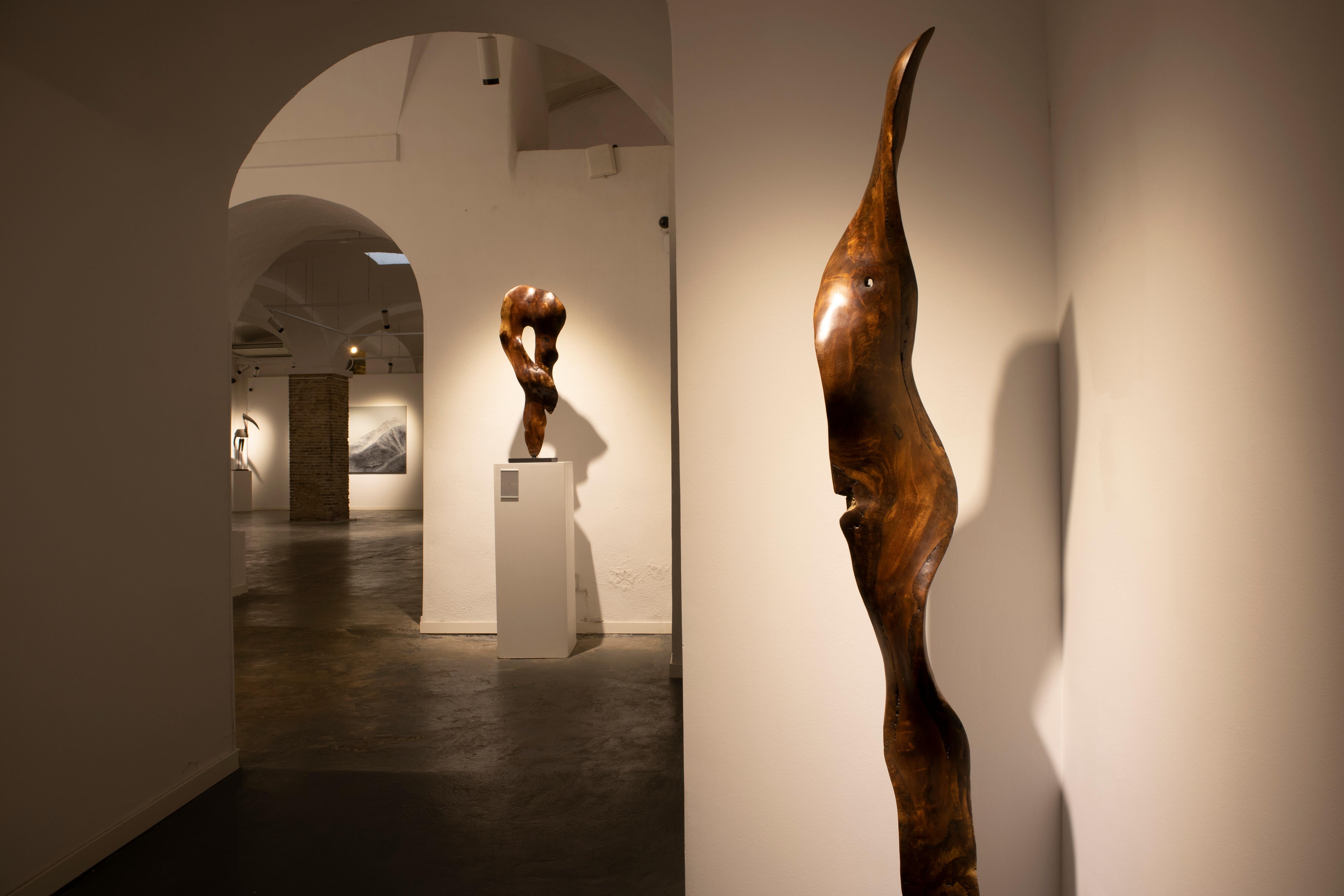 Vida - 21e siècle, contemporain, sculpture abstraite, racine d'acajou, bois en vente 1
