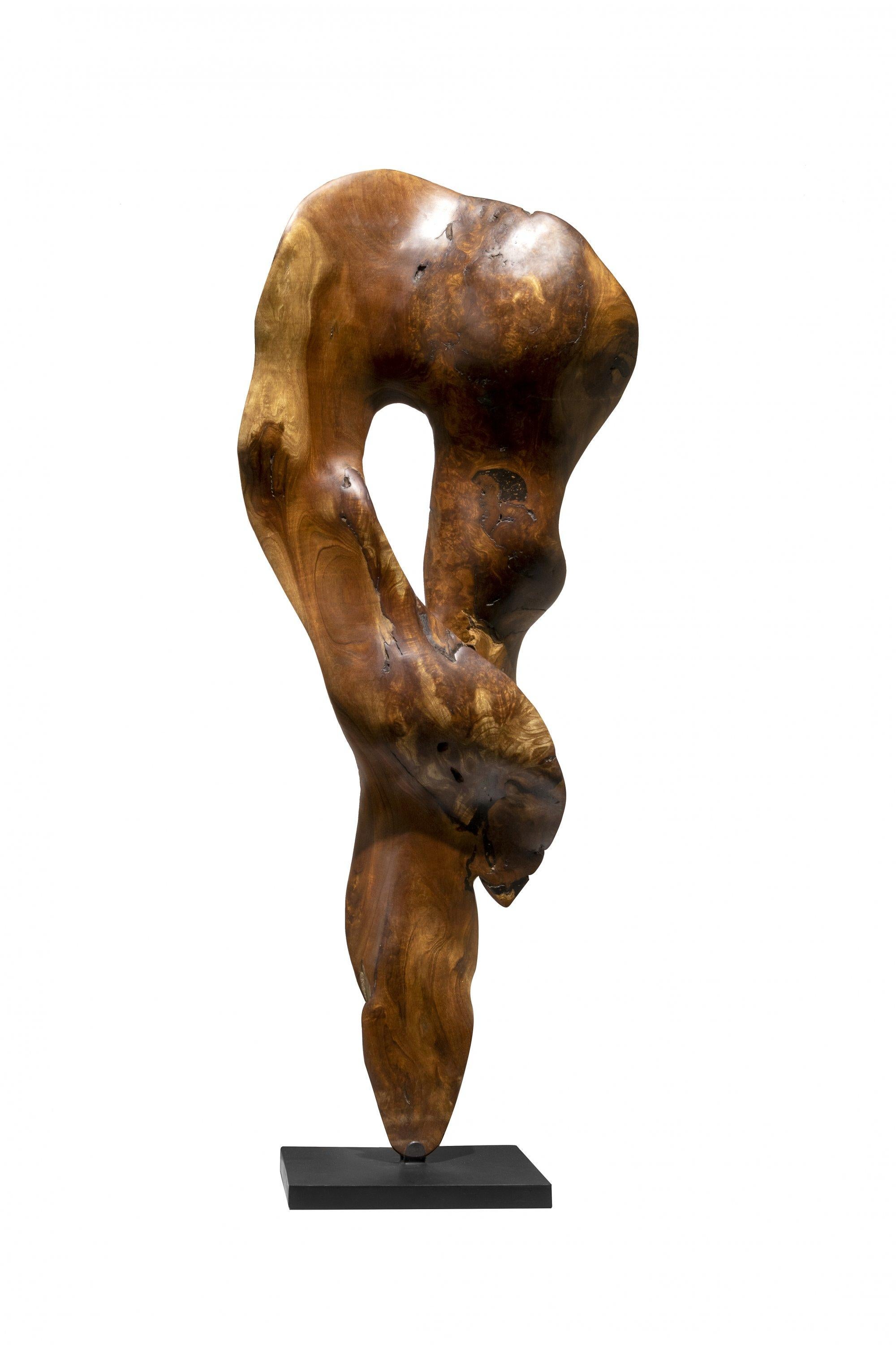 Abstract Sculpture Joaquim Ingravidesa - Vida - 21e siècle, contemporain, sculpture abstraite, racine d'acajou, bois