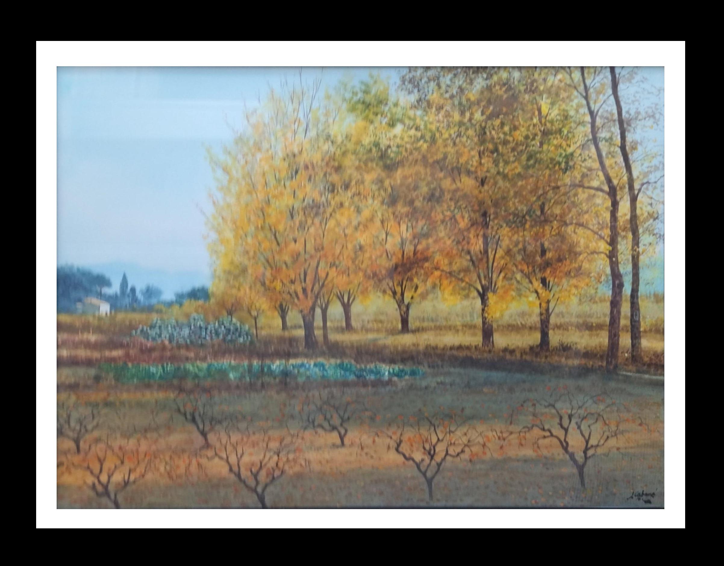 Cabane Landscape . figurative. lake.mountains. blue