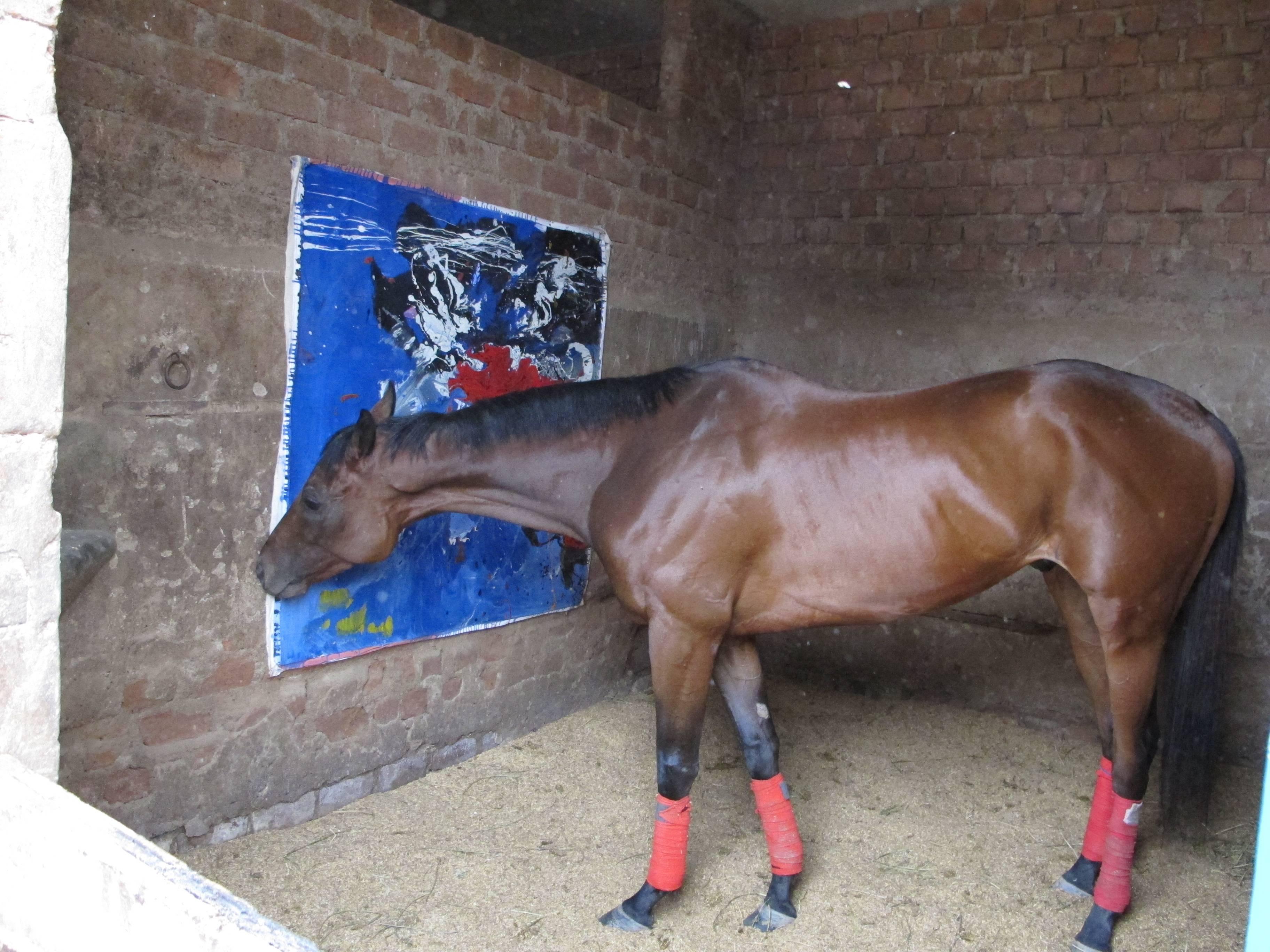 Joaquin Goldstein Cabieses Figurative Photograph - Karma (paintings for race horses) suite