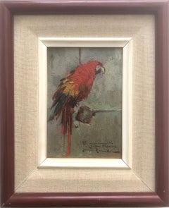 Red parrot oil on cardboard painting impressionism Spain