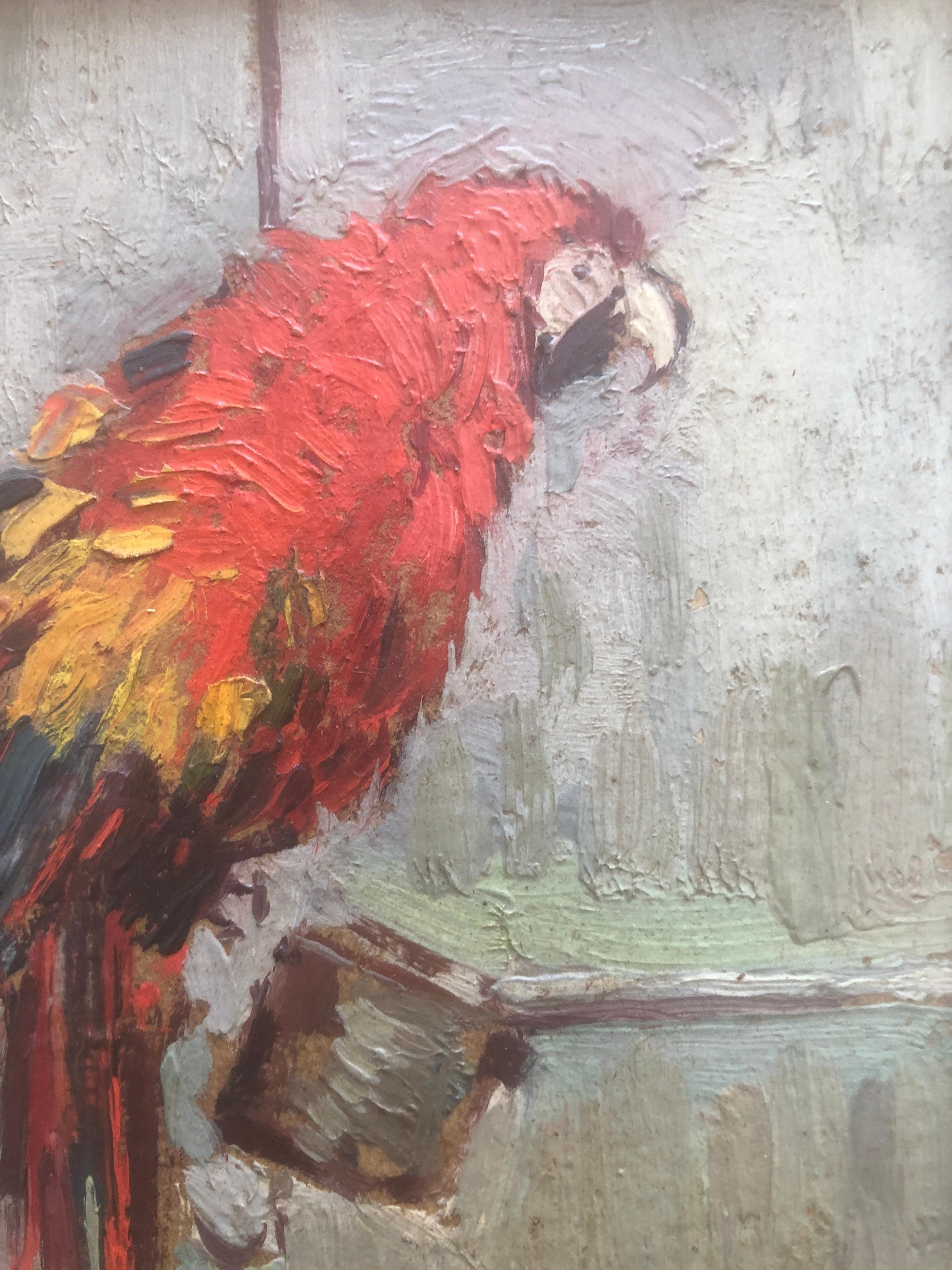 Red parrot oil on cardboard painting impressionism Spain - Impressionist Painting by Joaquin Terruella Matilla