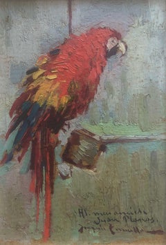Antique Red parrot oil on cardboard painting impressionism Spain