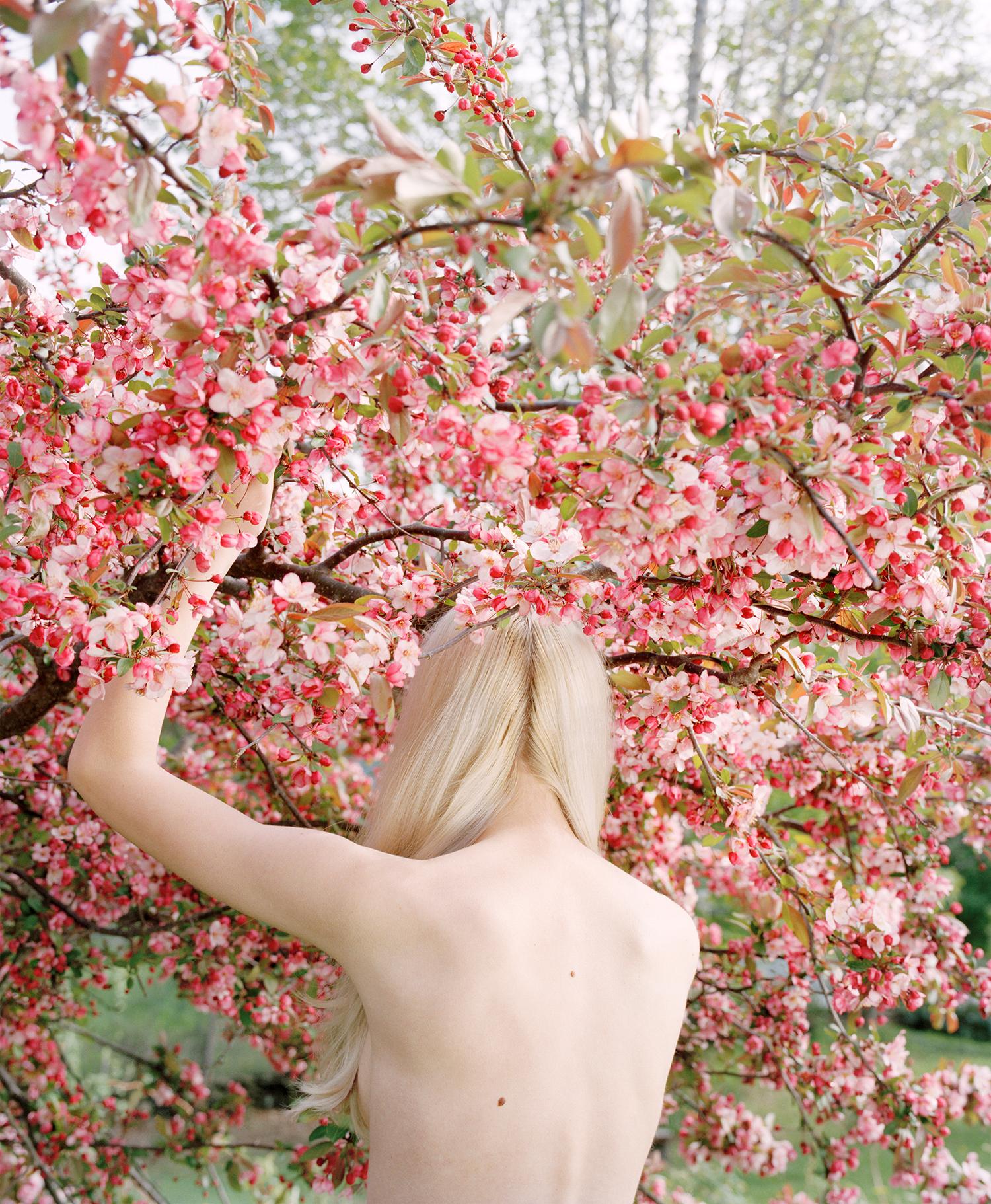 Raising the Cherry Tree, 2016 - Jocelyn Lee (Colour Photography)
Signed, dated and inscribed with title on reverse
Archival pigment print

Available in two sizes:
40 x 30 inches - edition of 5
50 x 40 inches - edition of 5

Throughout her career,