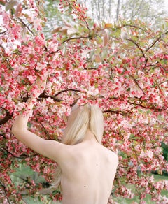 Raising the Cherry Tree, 2016 – Jocelyn Lee (Farbfotografie)