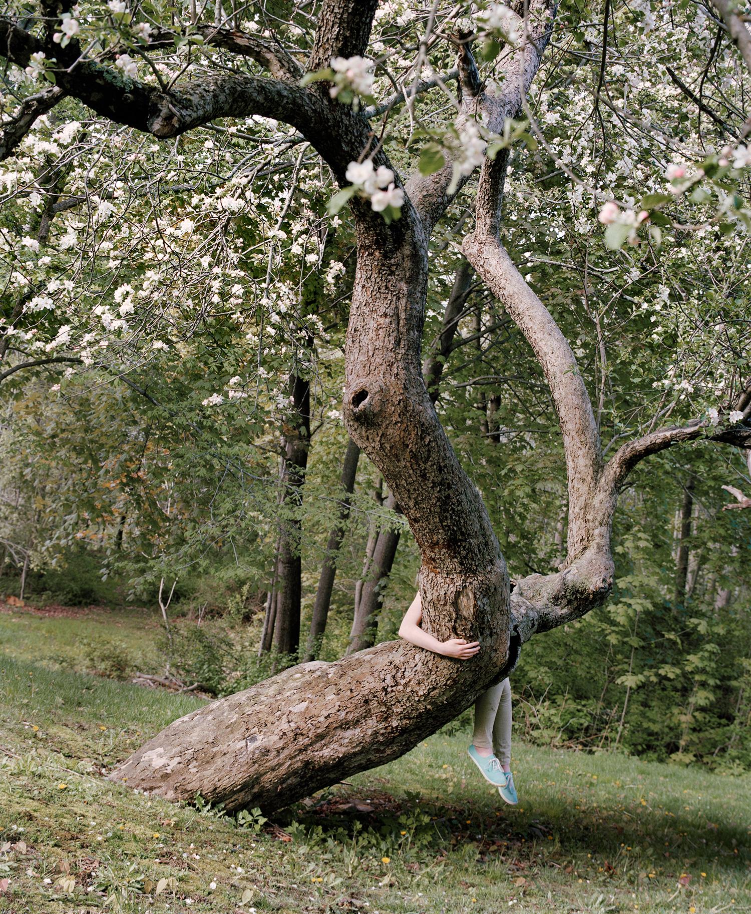Riding the Apple Tree, 2016 - Jocelyn Lee (Colour Photography)
Signed, dated and inscribed with title on reverse
Archival pigment print

Available in two sizes:
15 x 19 inches - edition of 5
23 x 28 inches - edition of 5

Throughout her career,
