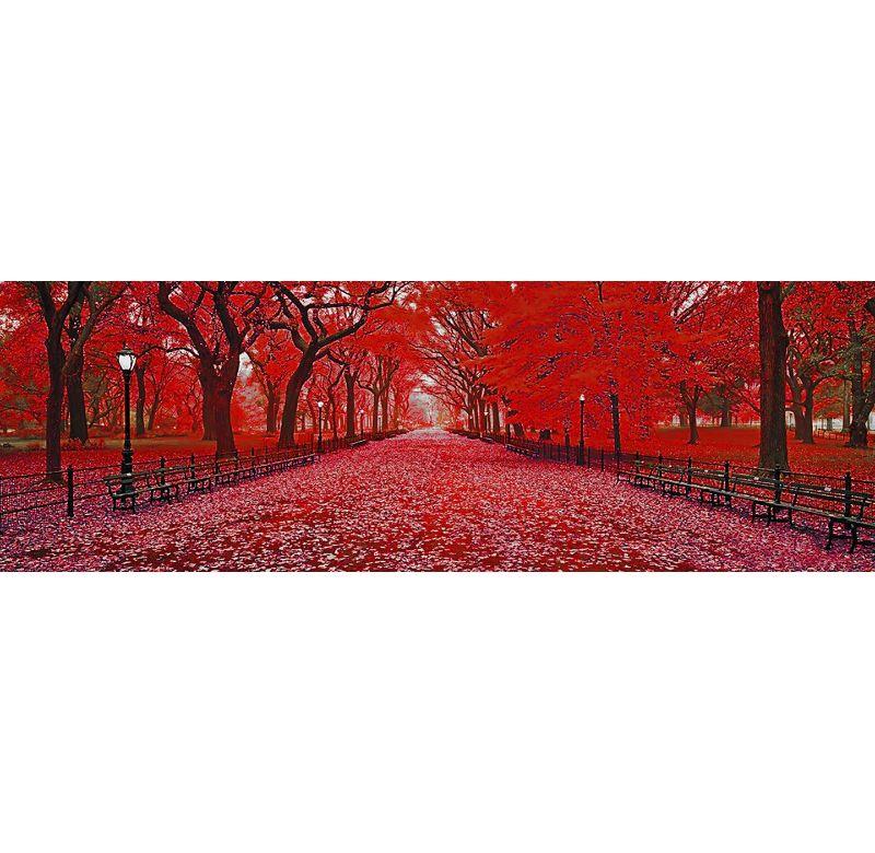 Jochen Cerny Color Photograph – NYC – Central Park I, Fotografie, C-Typ
